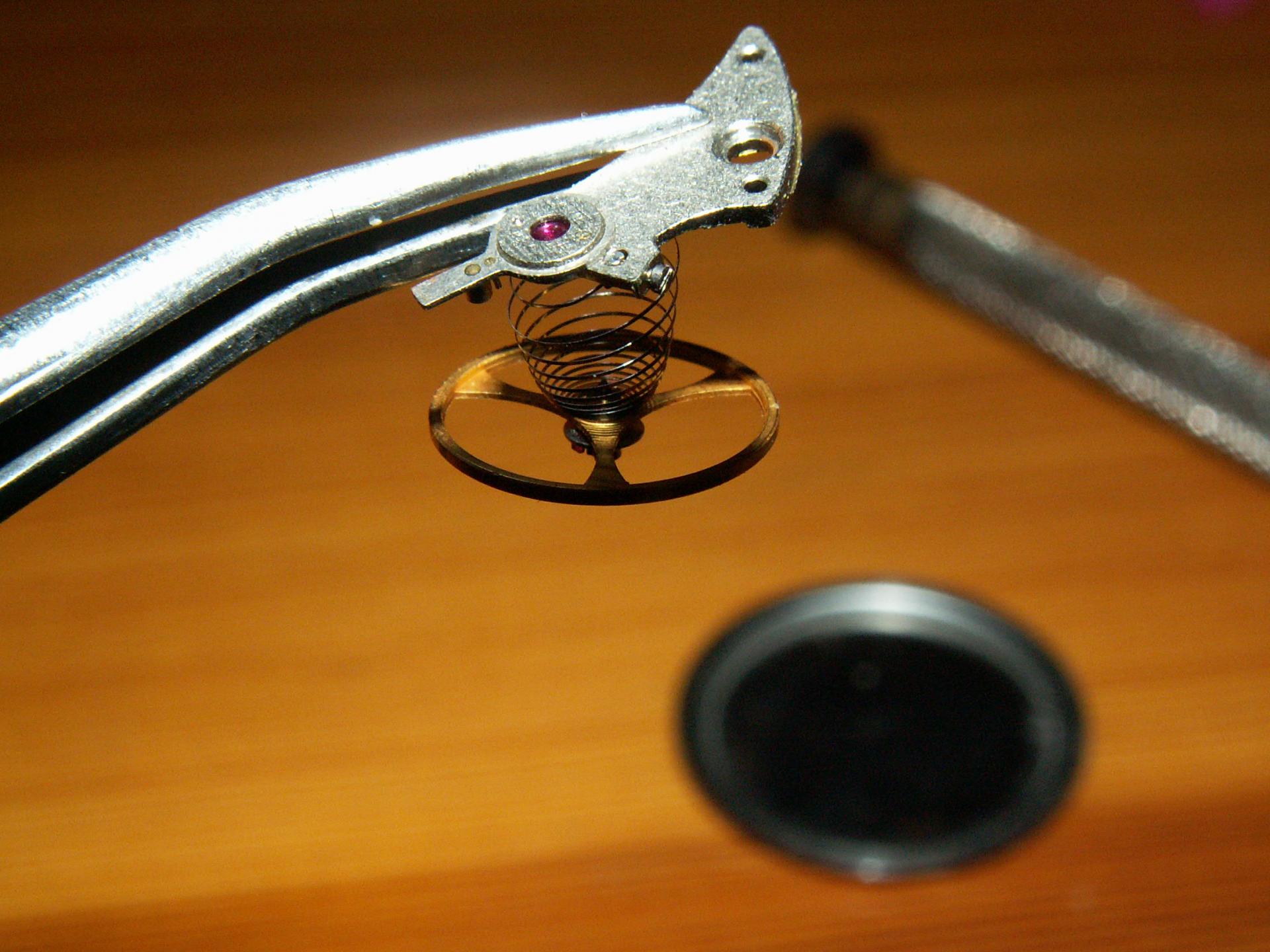 Naziv: PICT0040.jpg, pregleda: 826, veličina: 248,6 KB