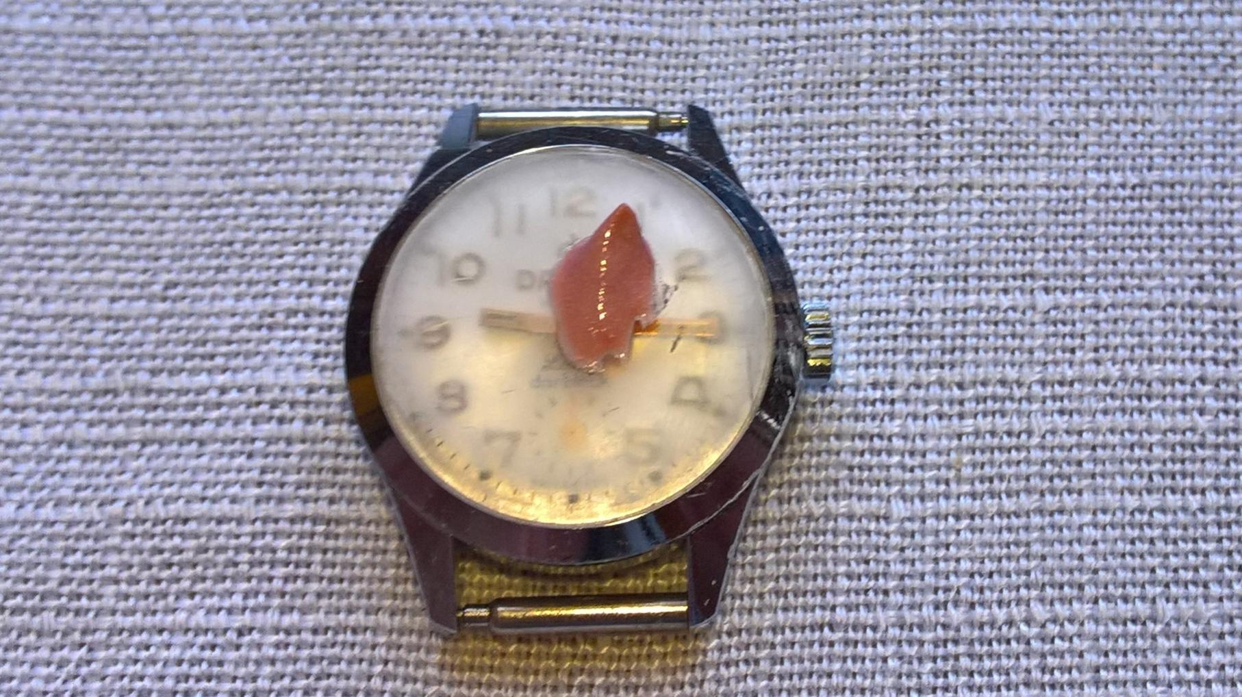 Naziv: WP_20160929_09_28_04_Pro (2).jpg, pregleda: 1864, veličina: 298,2 KB