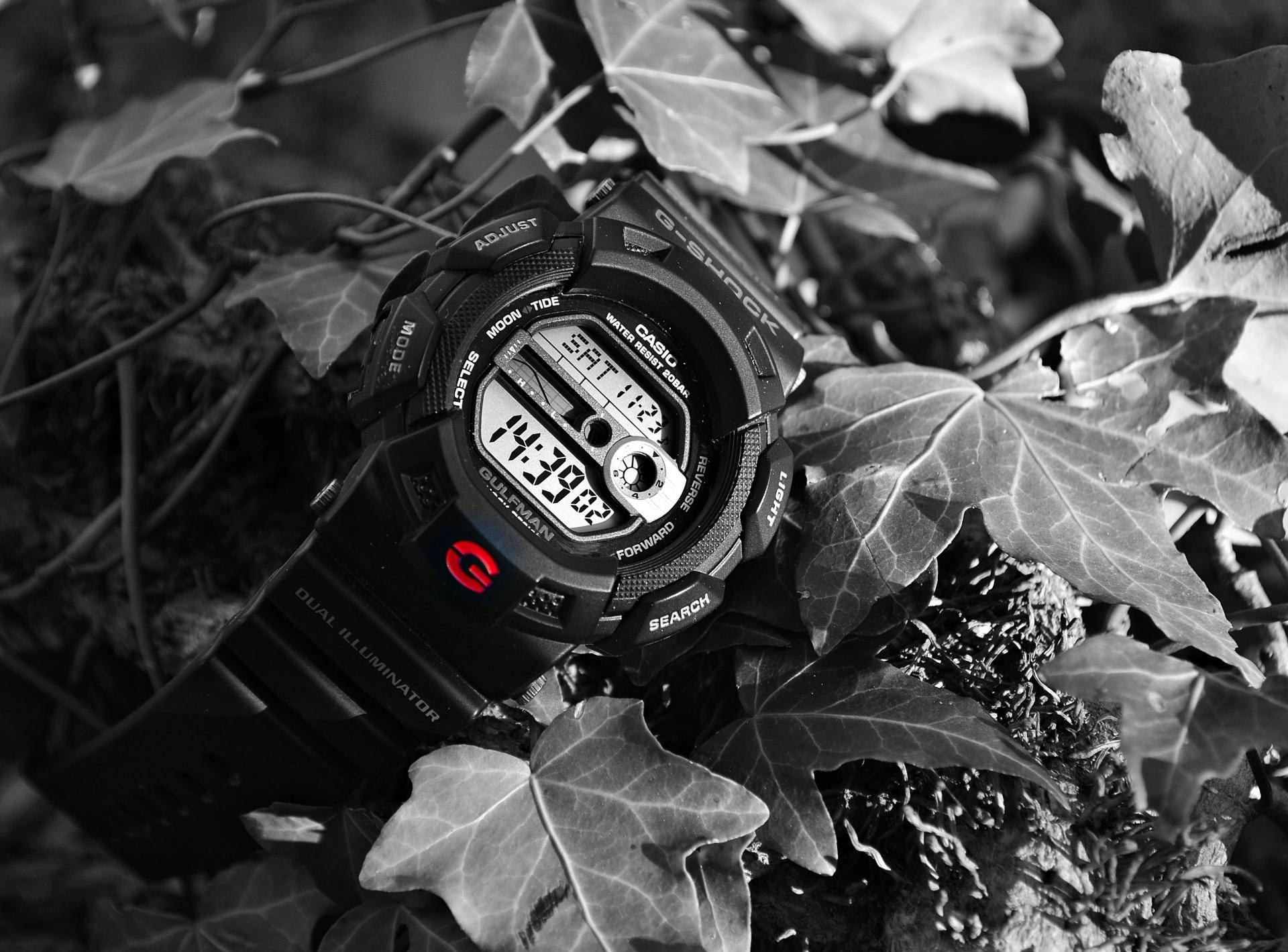 Naziv: DSC_0118 ...,.jpg, pregleda: 1138, veličina: 313,5 KB