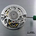 Najčešće modifikovani mehanizmi-tourby-2892-skeleton.jpg