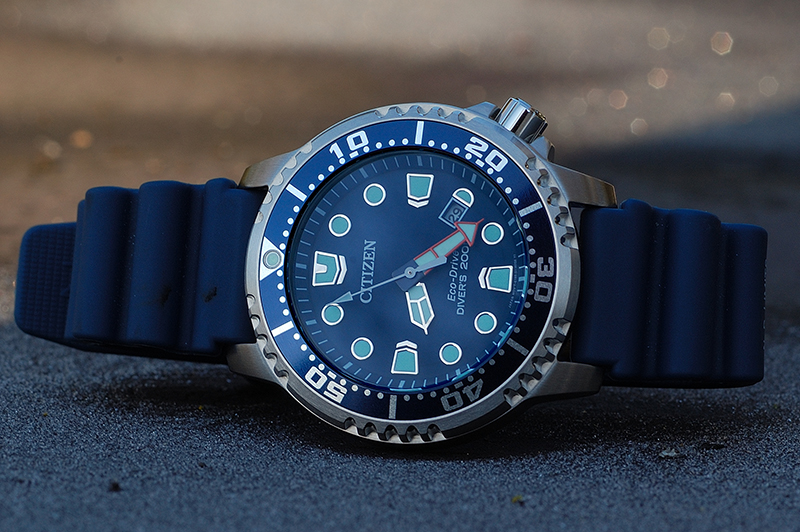 Naziv: DSC_6285sm_zpsdvzkr5br.jpg, pregleda: 617, veličina: 395,3 KB