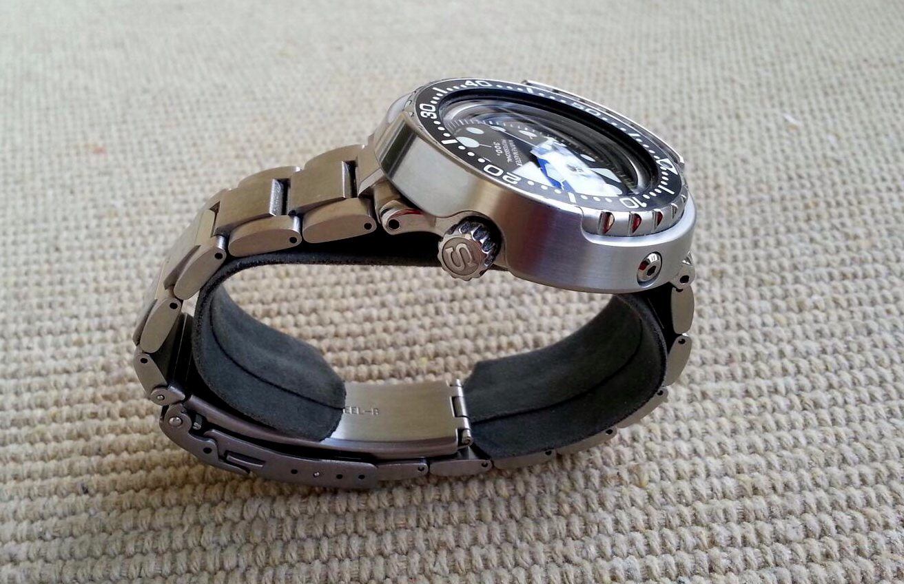 Naziv: IMG_5919.JPG, pregleda: 385, veličina: 362,2 KB