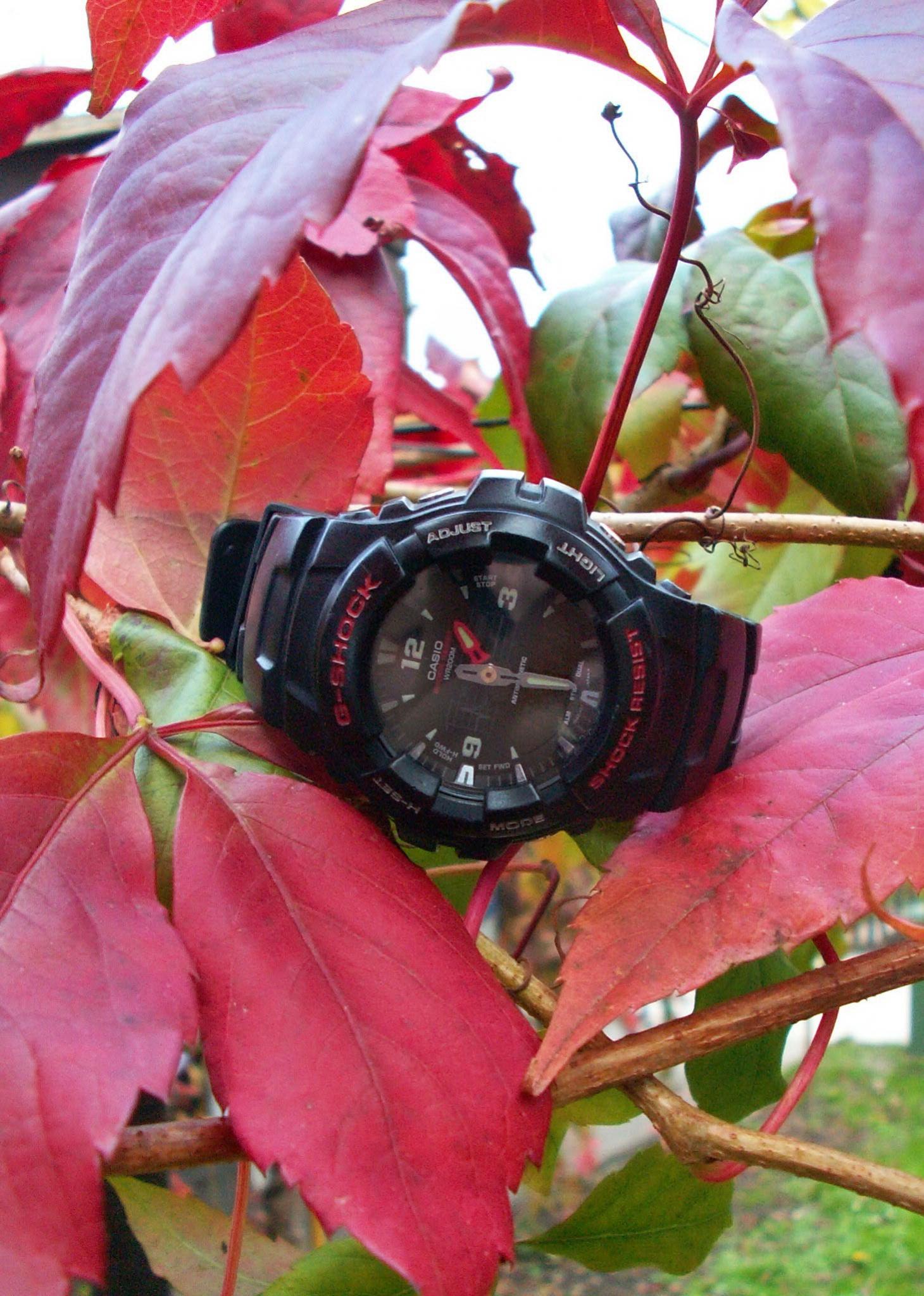 Naziv: PICT0005-1.jpg, pregleda: 382, veličina: 364,4 KB