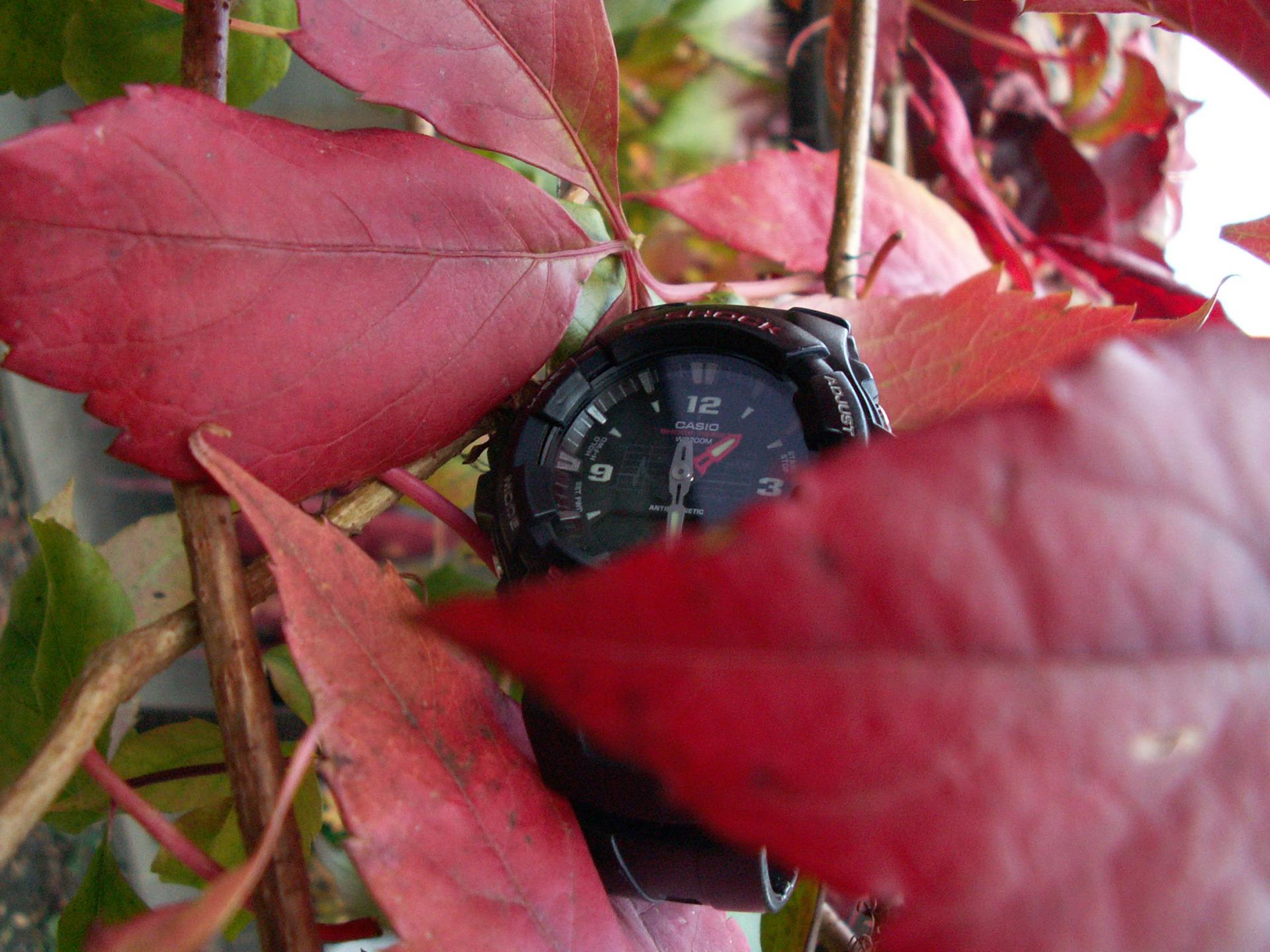 Naziv: PICT0007.jpg, pregleda: 409, veličina: 295,2 KB