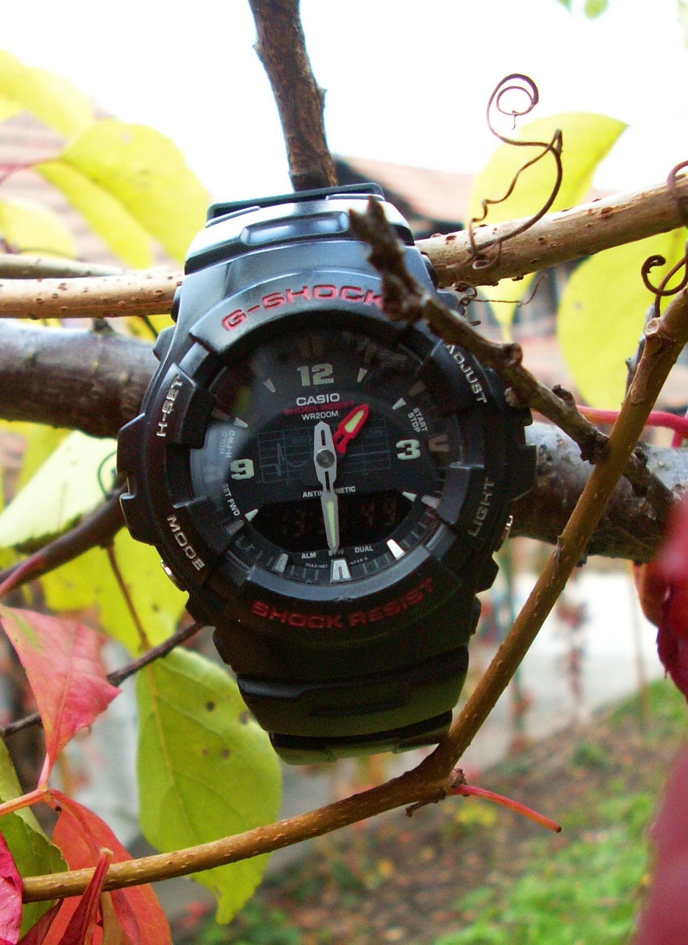 Naziv: PICT0010-1.jpg, pregleda: 379, veličina: 386,1 KB