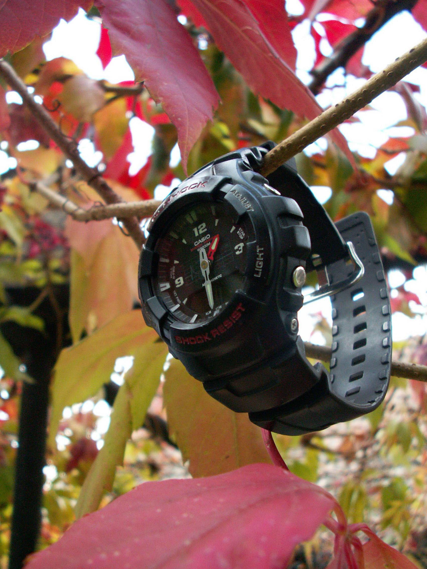 Naziv: PICT0013.jpg, pregleda: 380, veličina: 425,0 KB