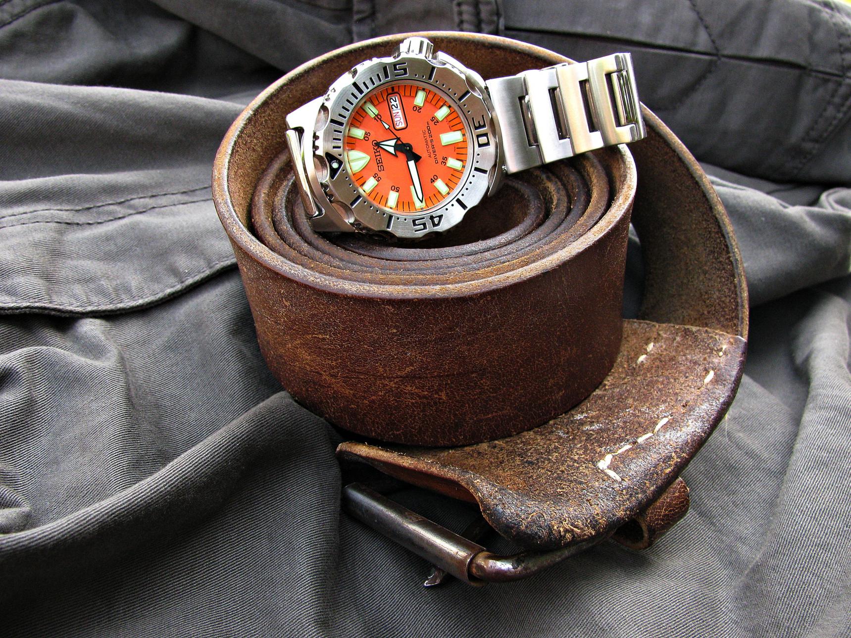 Naziv: IMG_0883 ....jpg, pregleda: 282, veličina: 495,2 KB