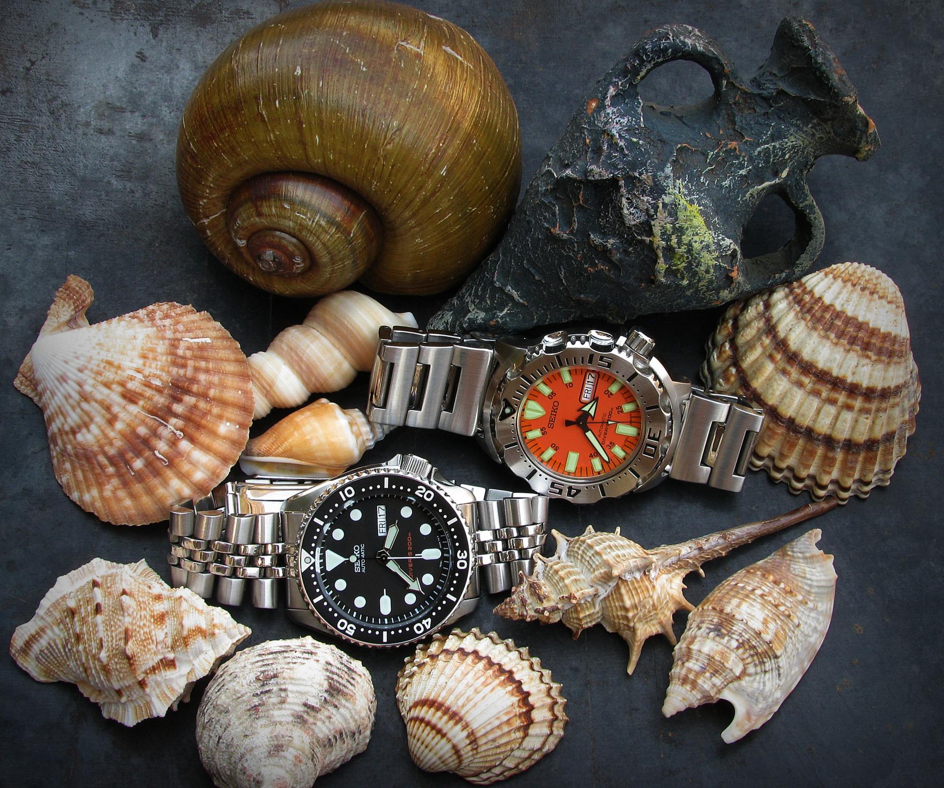 Naziv: IMG_2196 ....jpg, pregleda: 375, veličina: 493,6 KB