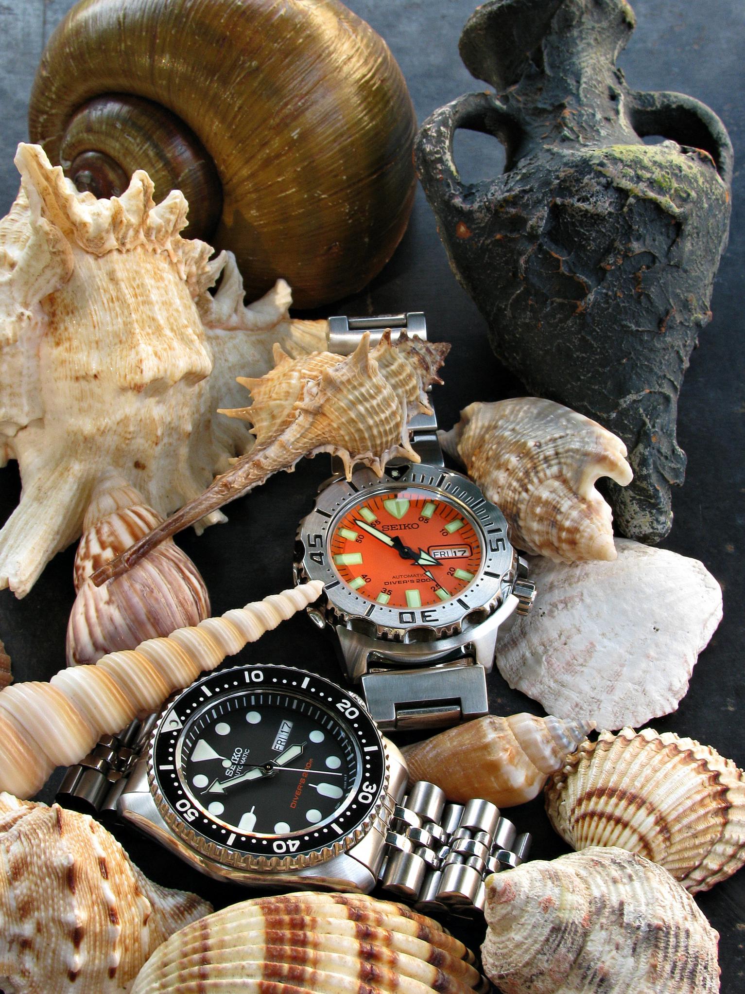 Naziv: IMG_2213 ....jpg, pregleda: 380, veličina: 516,5 KB