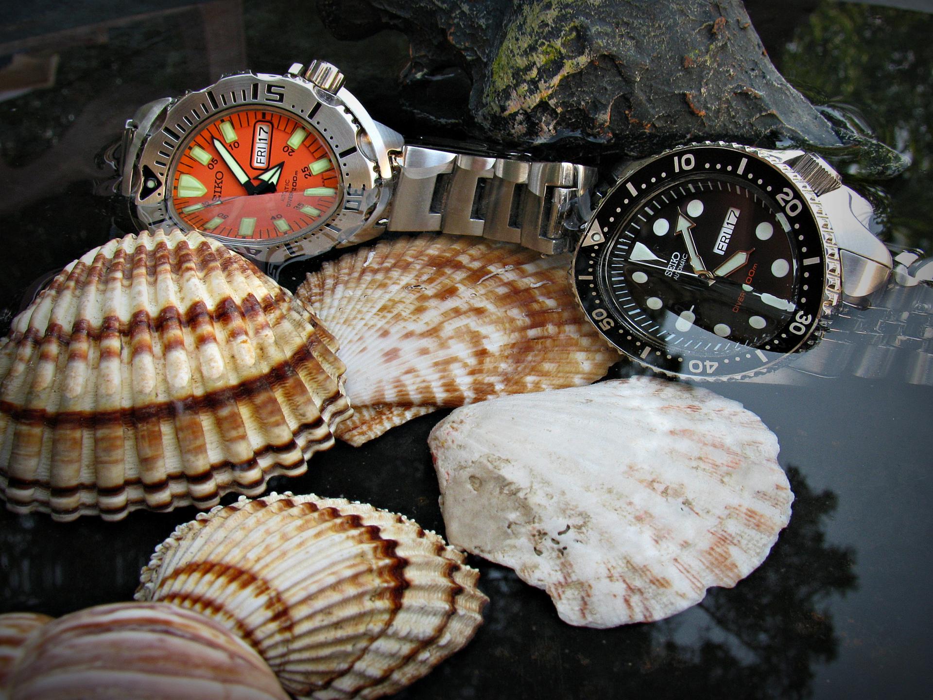 Naziv: IMG_2234 ....jpg, pregleda: 376, veličina: 406,8 KB