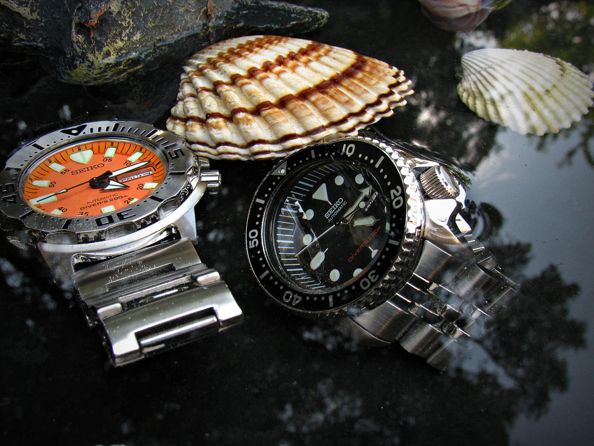 Naziv: IMG_2245 ....jpg, pregleda: 403, veličina: 378,7 KB