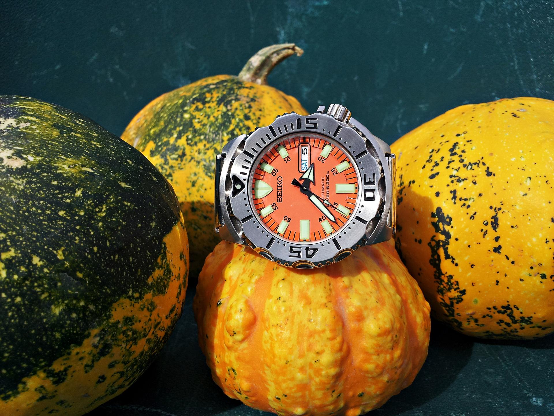 Naziv: 20150905_153848 ....jpg, pregleda: 453, veličina: 392,2 KB