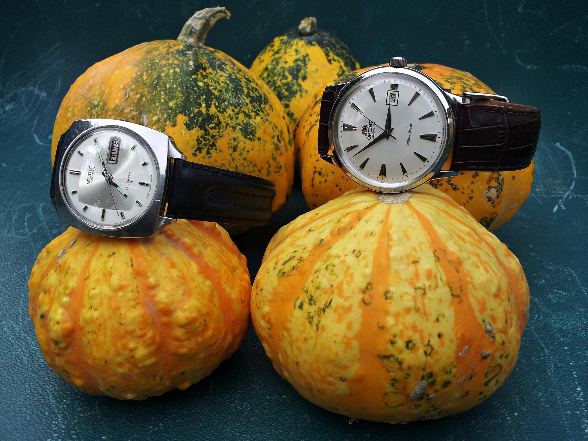 Naziv: 20150905_154257 ....jpg, pregleda: 452, veličina: 348,1 KB