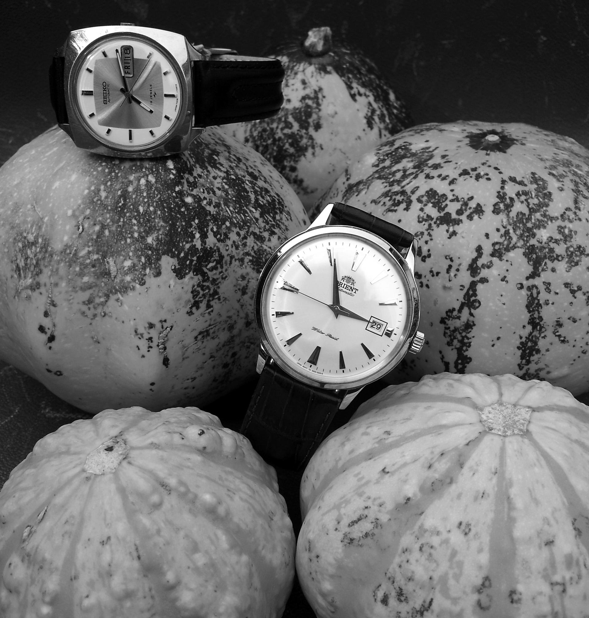 Naziv: 20150905_154537 ...,.jpg, pregleda: 493, veličina: 382,5 KB