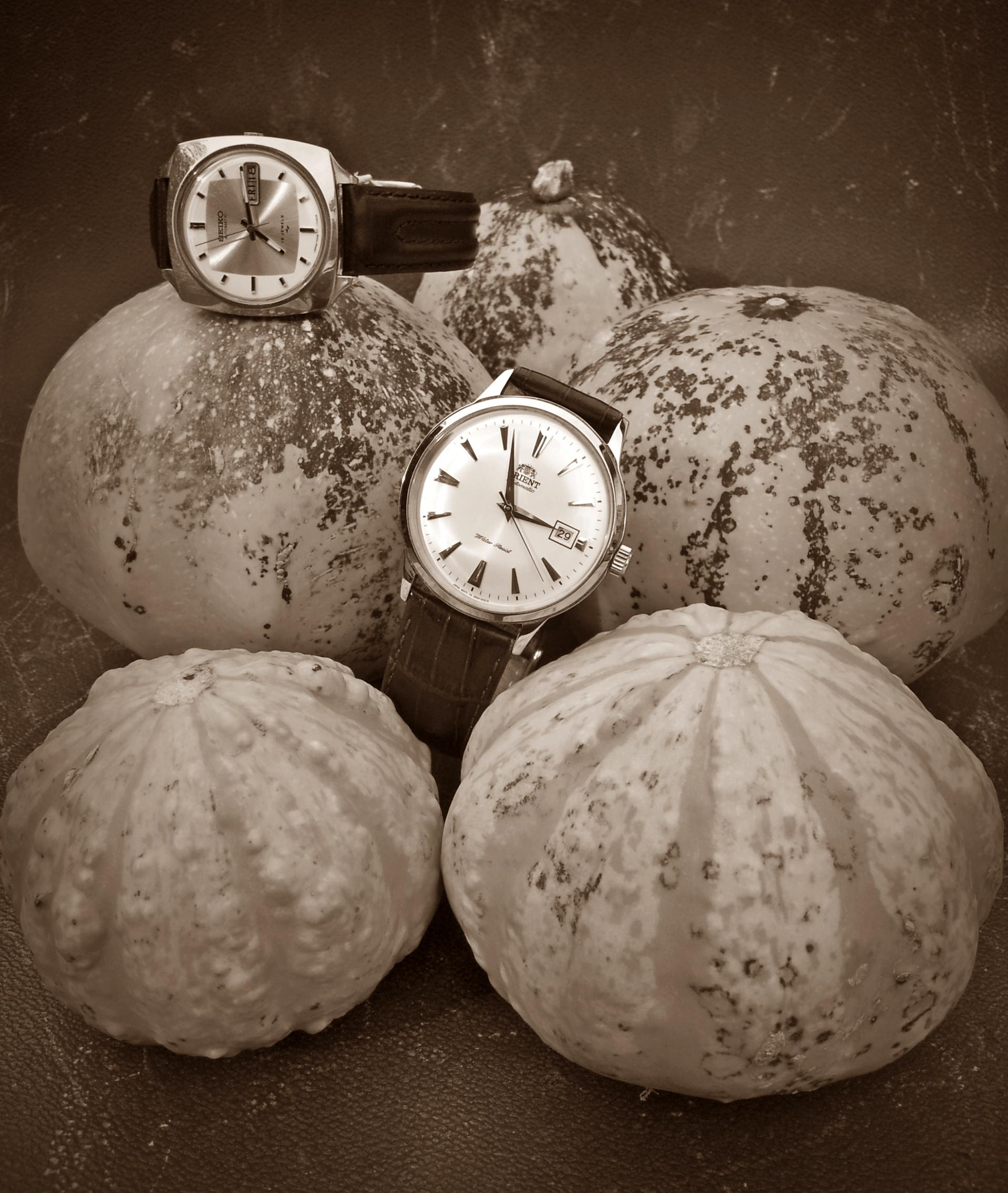 Naziv: 20150905_154614 ...,.jpg, pregleda: 450, veličina: 412,9 KB