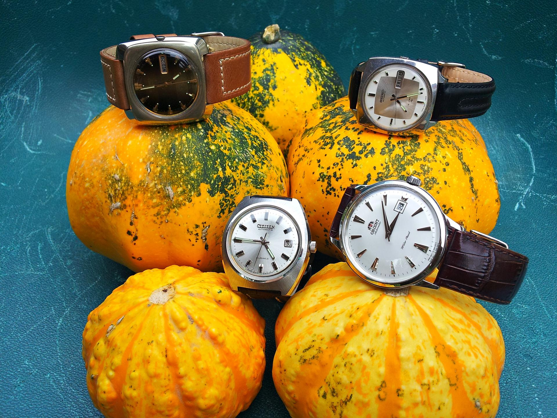 Naziv: 20150905_155902 ....jpg, pregleda: 451, veličina: 480,3 KB