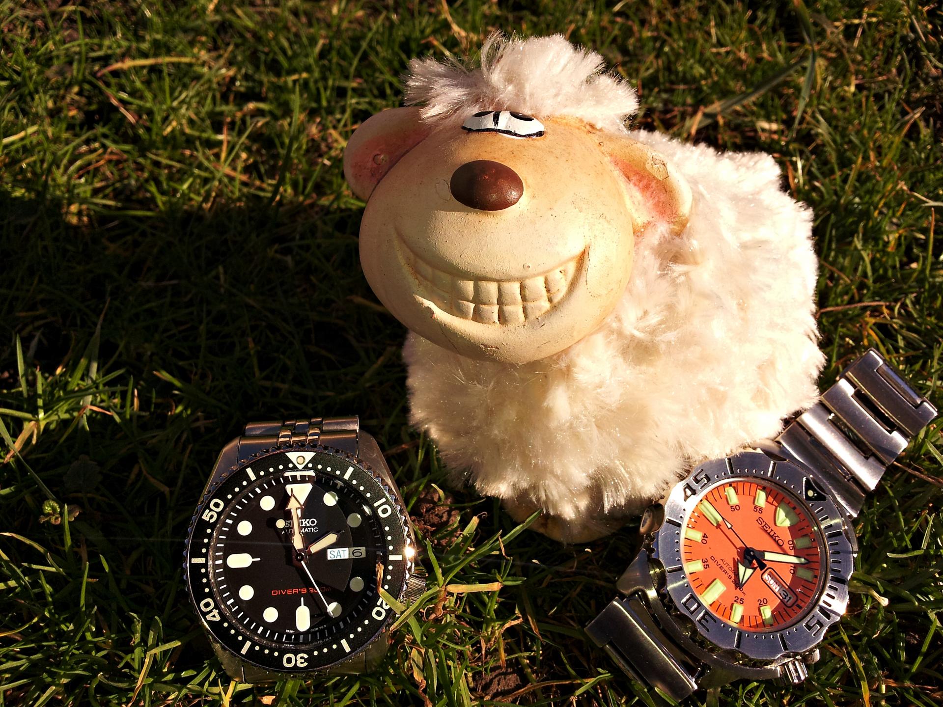 Naziv: 20160206_135713 ....jpg, pregleda: 415, veličina: 450,2 KB