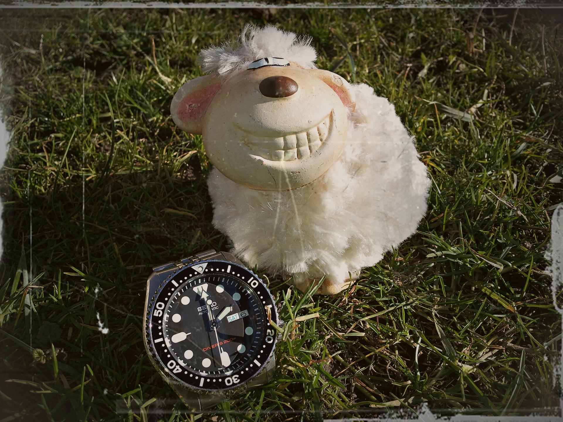 Naziv: 20160206_135819 ....jpg, pregleda: 357, veličina: 454,0 KB