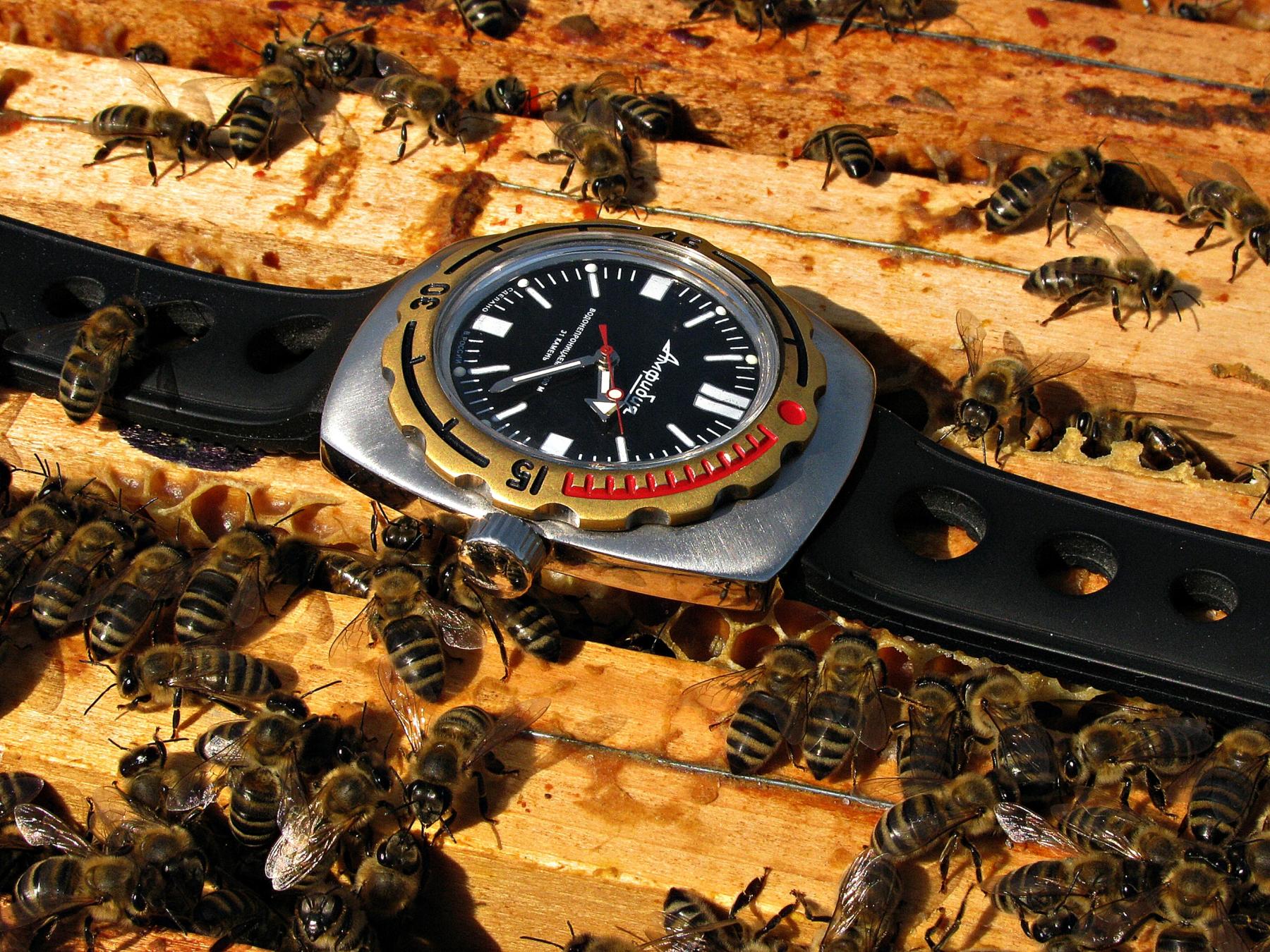 Naziv: IMG_3602 ...,.jpg, pregleda: 348, veličina: 498,2 KB