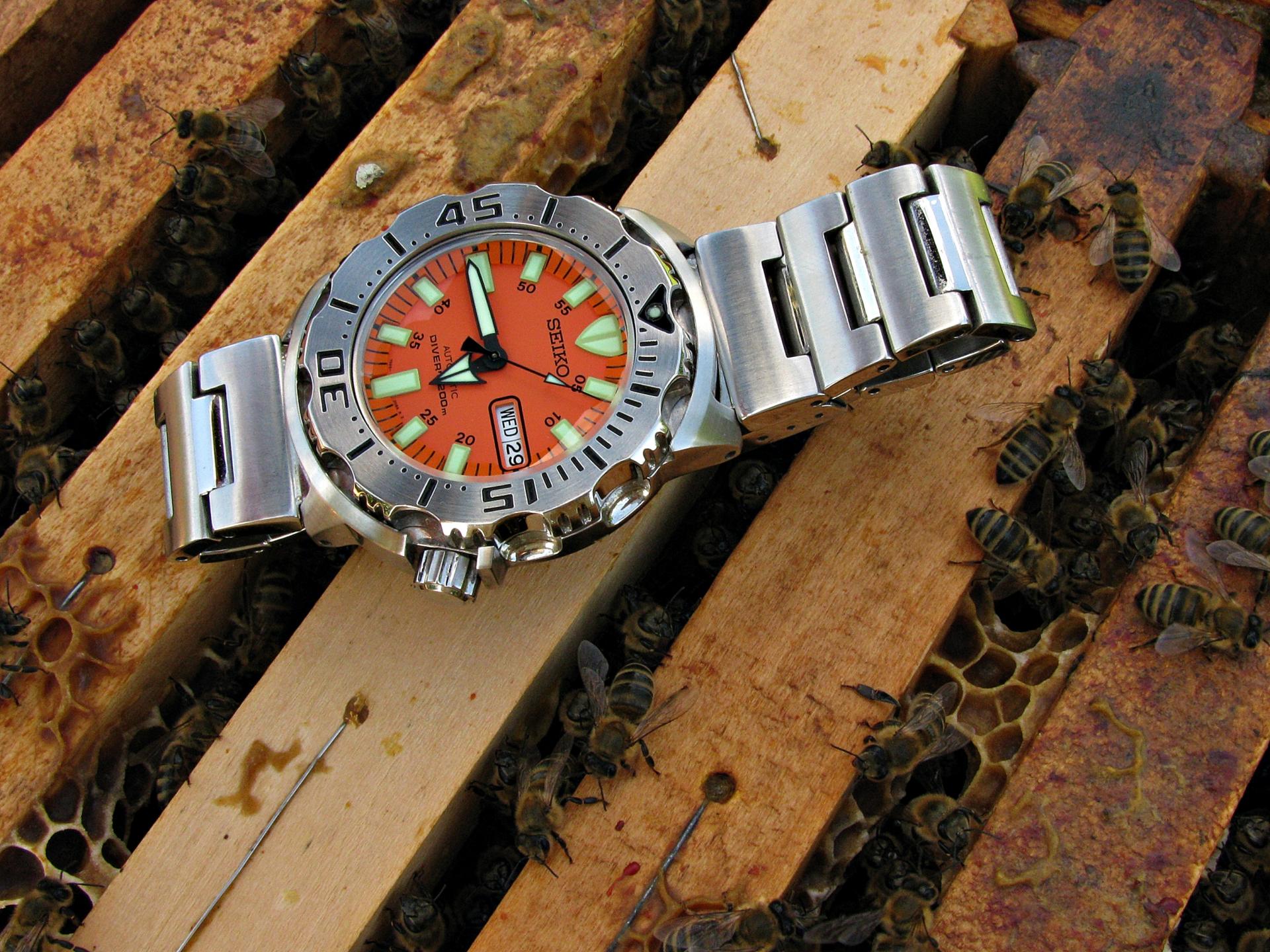 Naziv: IMG_3846 .....jpg, pregleda: 389, veličina: 444,9 KB