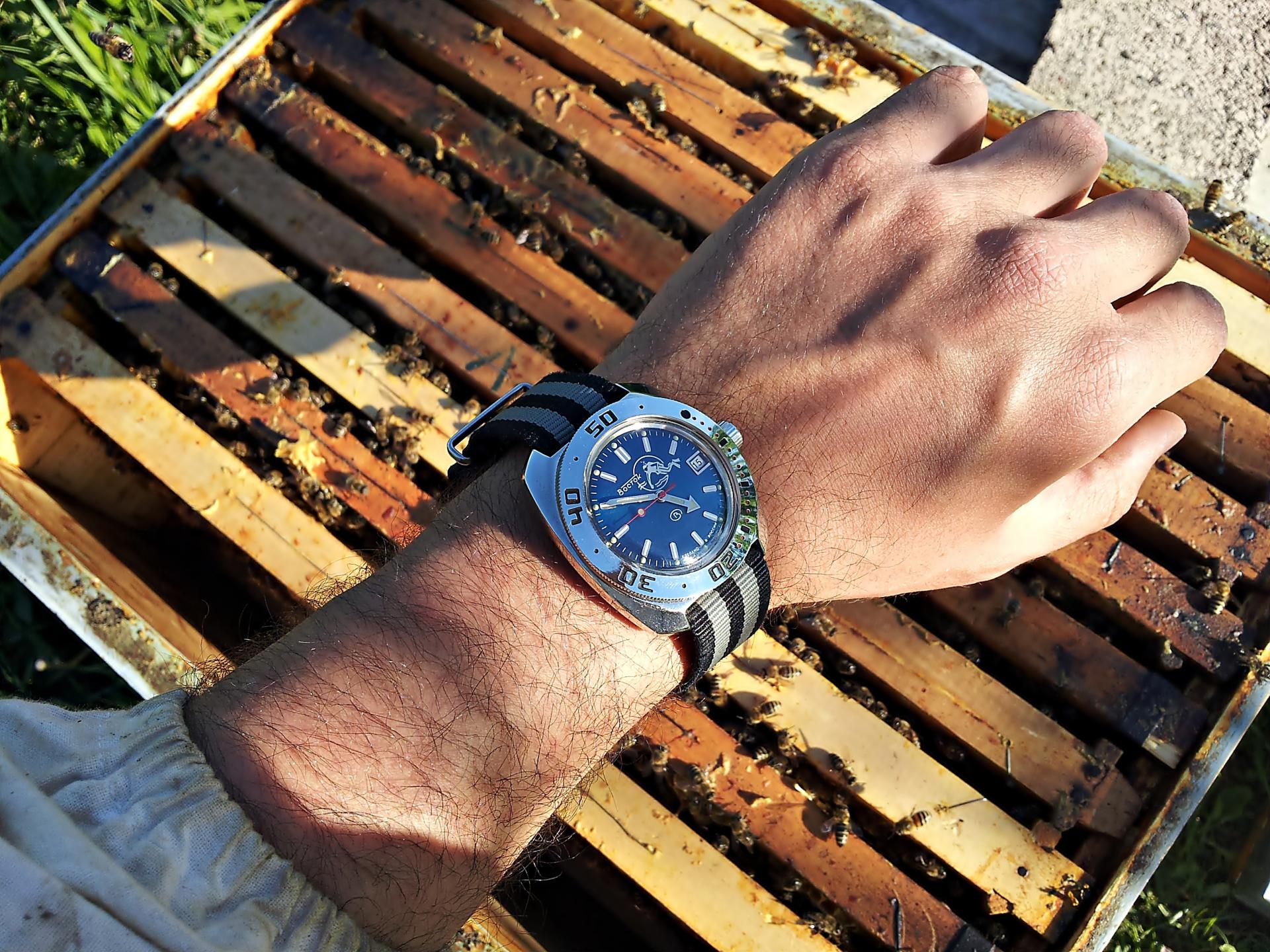 Naziv: 20160415_165105 ....jpg, pregleda: 279, veličina: 465,8 KB