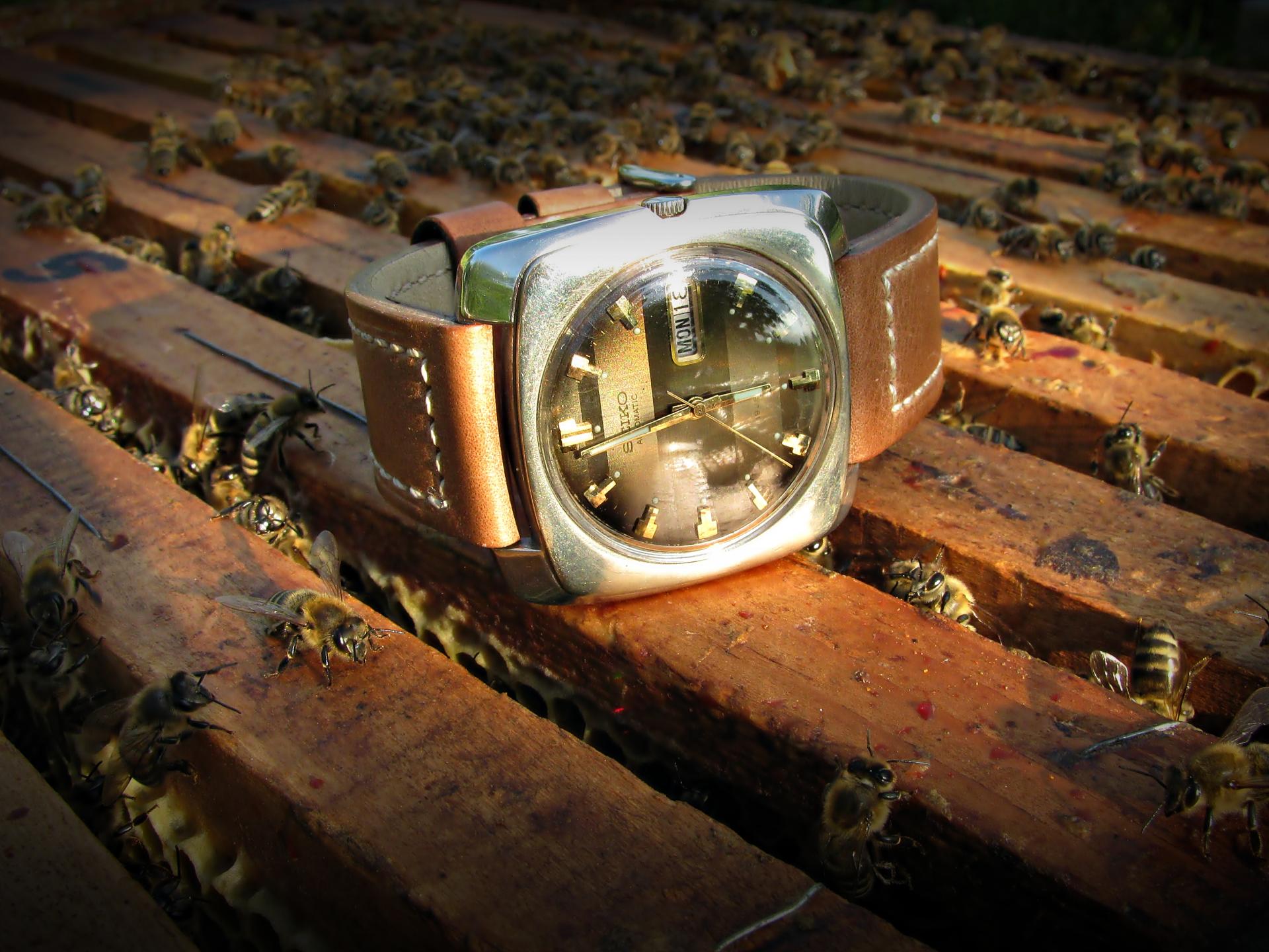 Naziv: IMG_4059 ....jpg, pregleda: 238, veličina: 312,8 KB