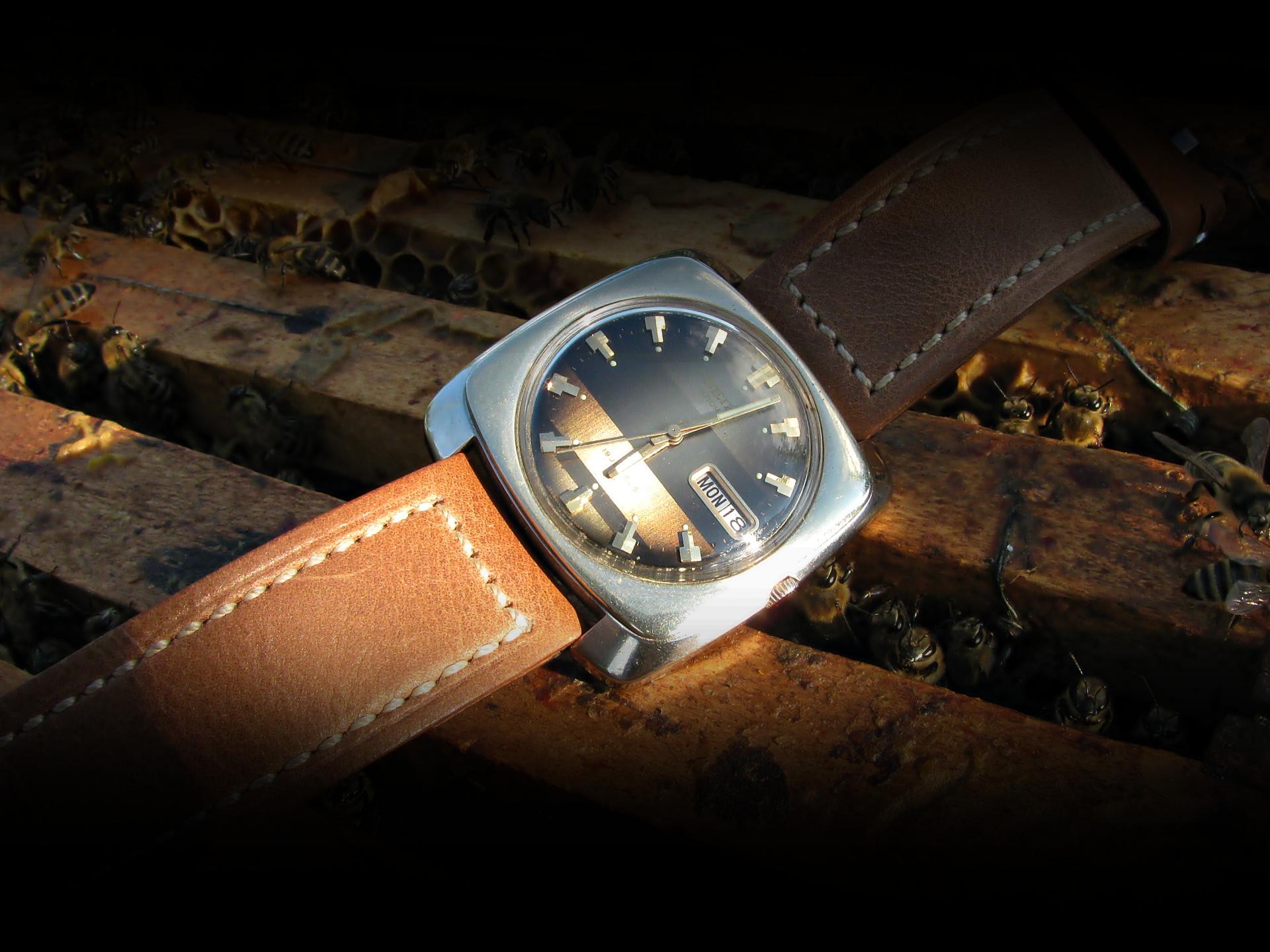 Naziv: IMG_4086 ....jpg, pregleda: 278, veličina: 236,9 KB