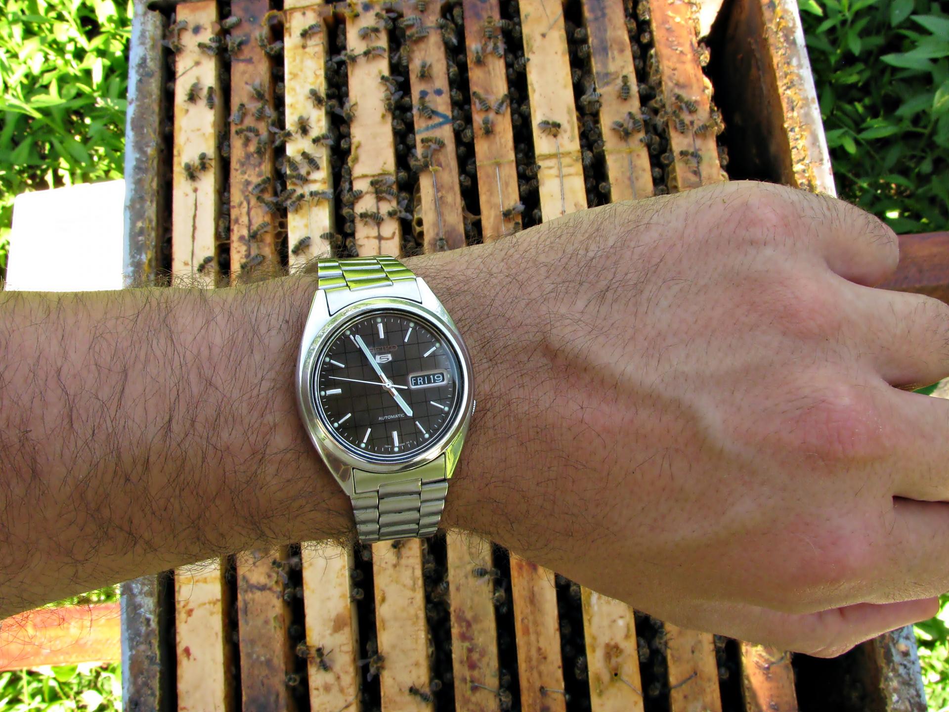 Naziv: IMG_5756 ....jpg, pregleda: 303, veličina: 345,5 KB