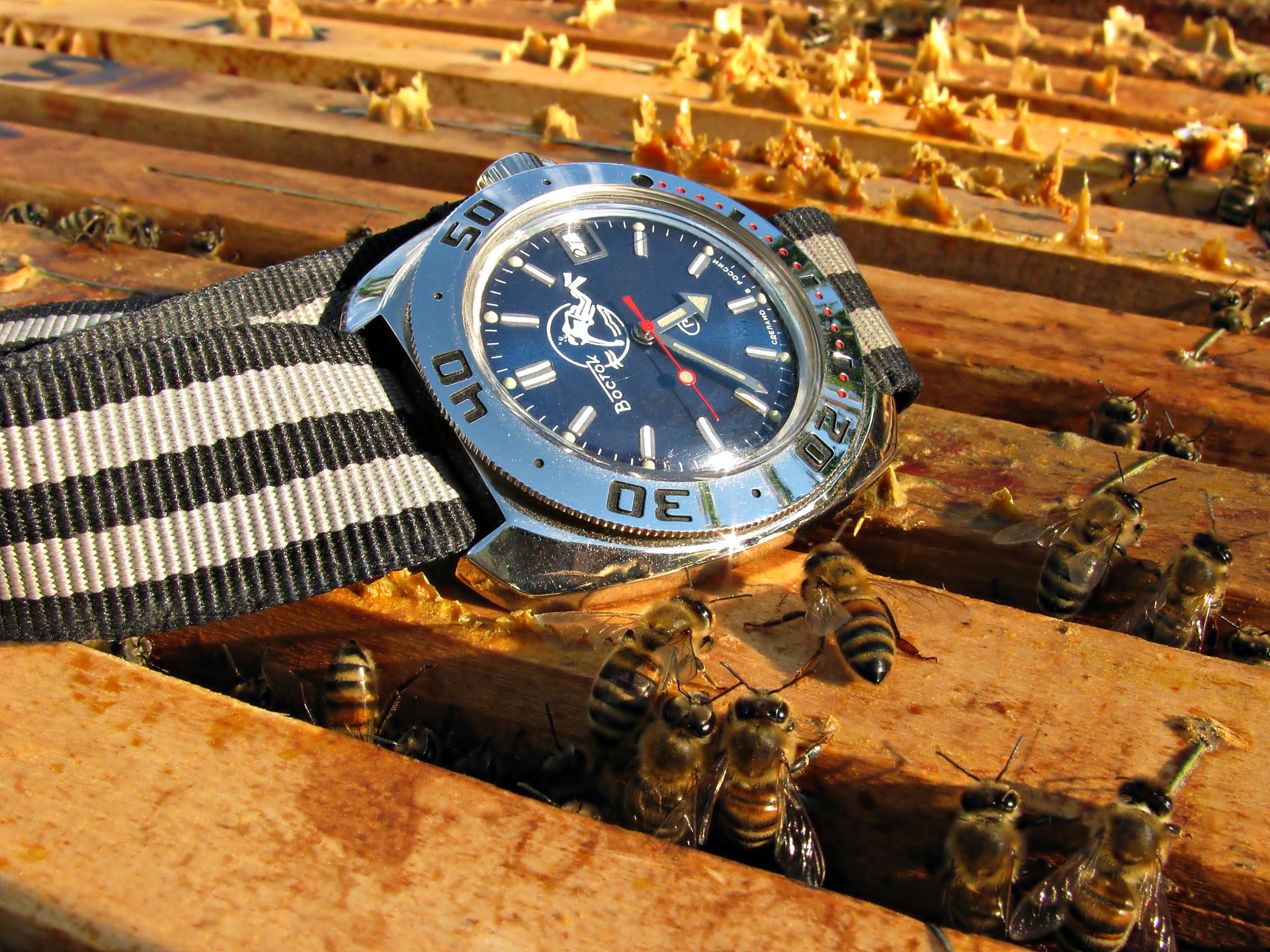 Naziv: IMG_5794 ....jpg, pregleda: 274, veličina: 461,9 KB