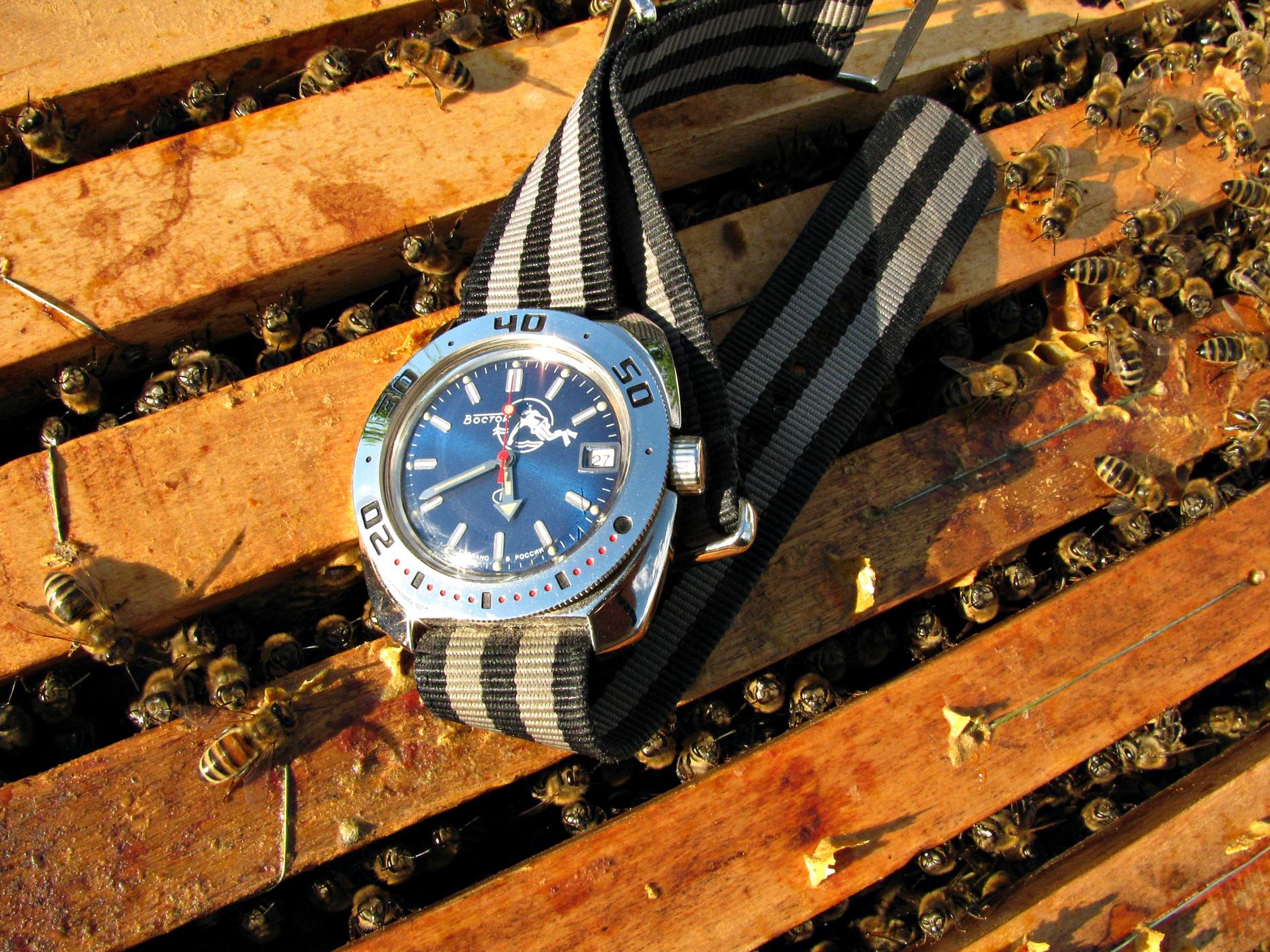 Naziv: IMG_5805 ...,.jpg, pregleda: 271, veličina: 493,3 KB