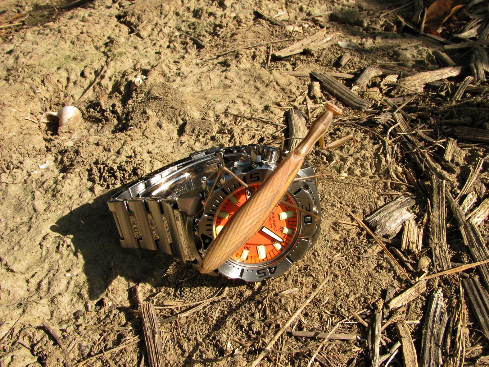 Naziv: IMG_6354 ...,.jpg, pregleda: 210, veličina: 529,6 KB