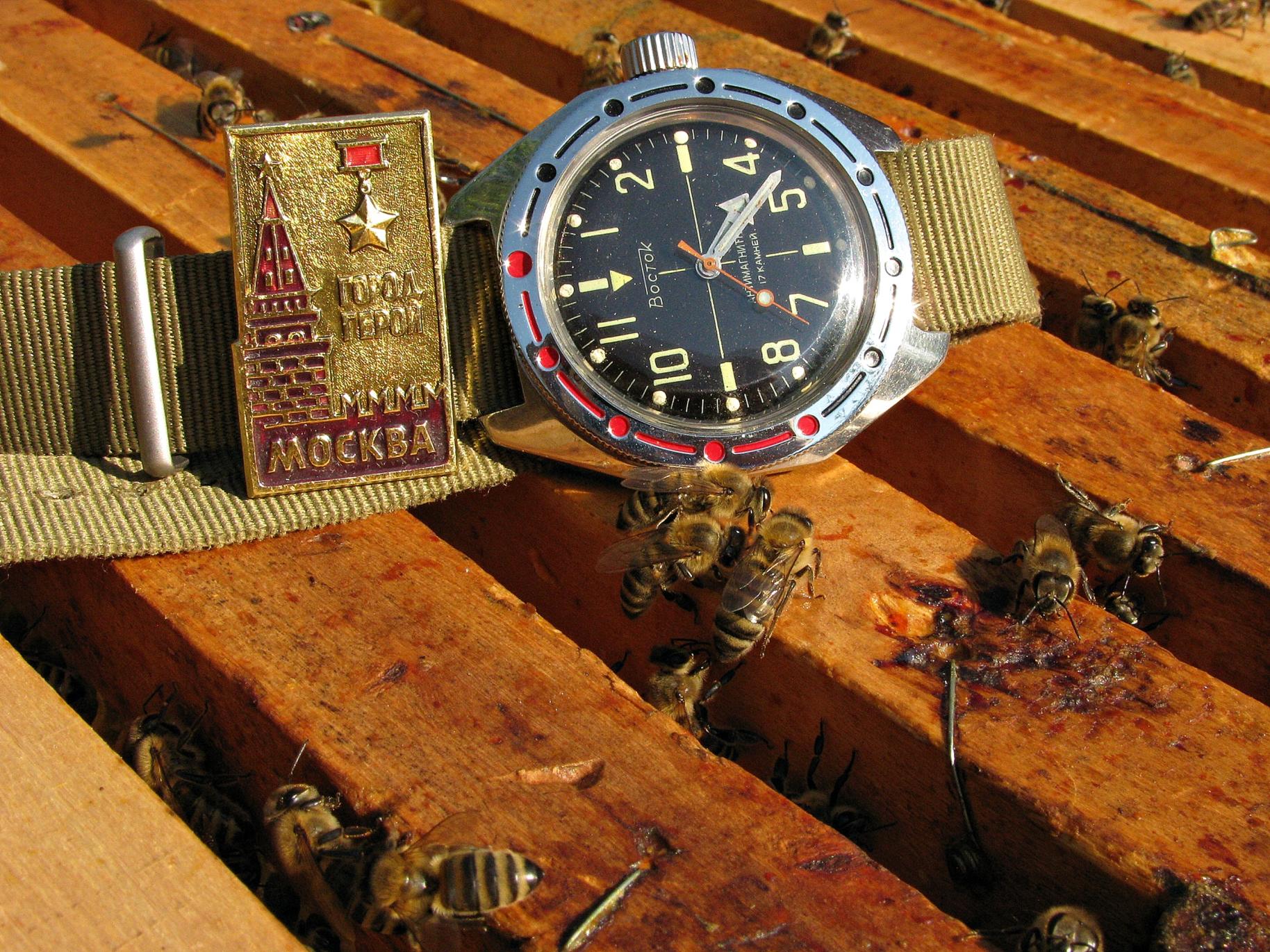 Naziv: IMG_6267 ...,,.jpg, pregleda: 227, veličina: 495,1 KB