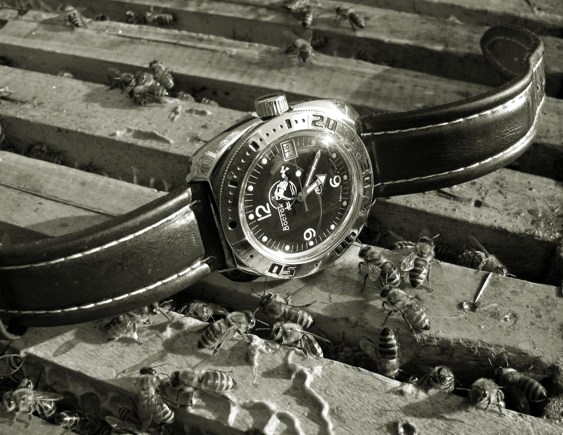 Naziv: IMG_6510....jpg, pregleda: 421, veličina: 433,0 KB