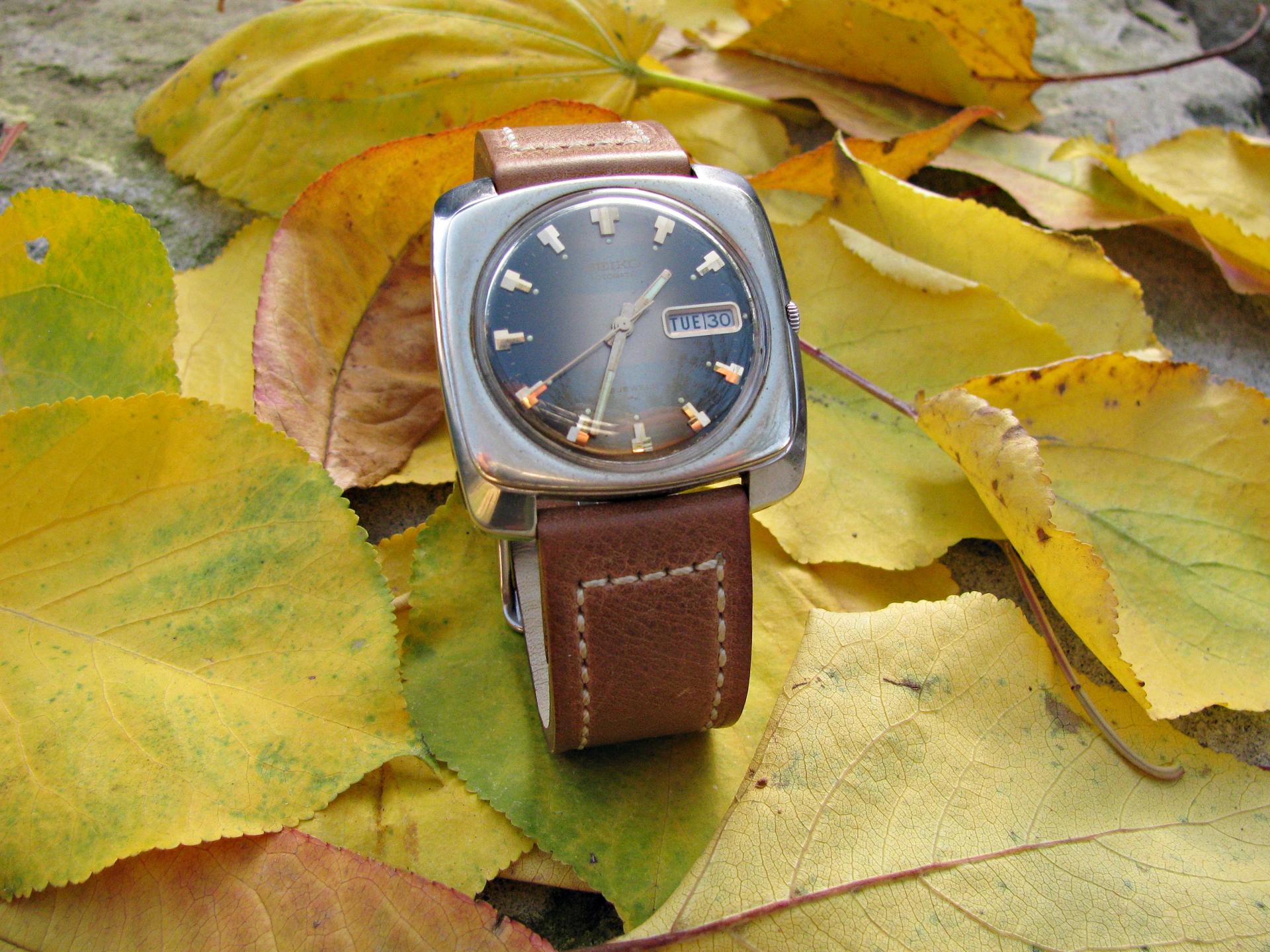 Naziv: IMG_6804 ....jpg, pregleda: 413, veličina: 369,9 KB