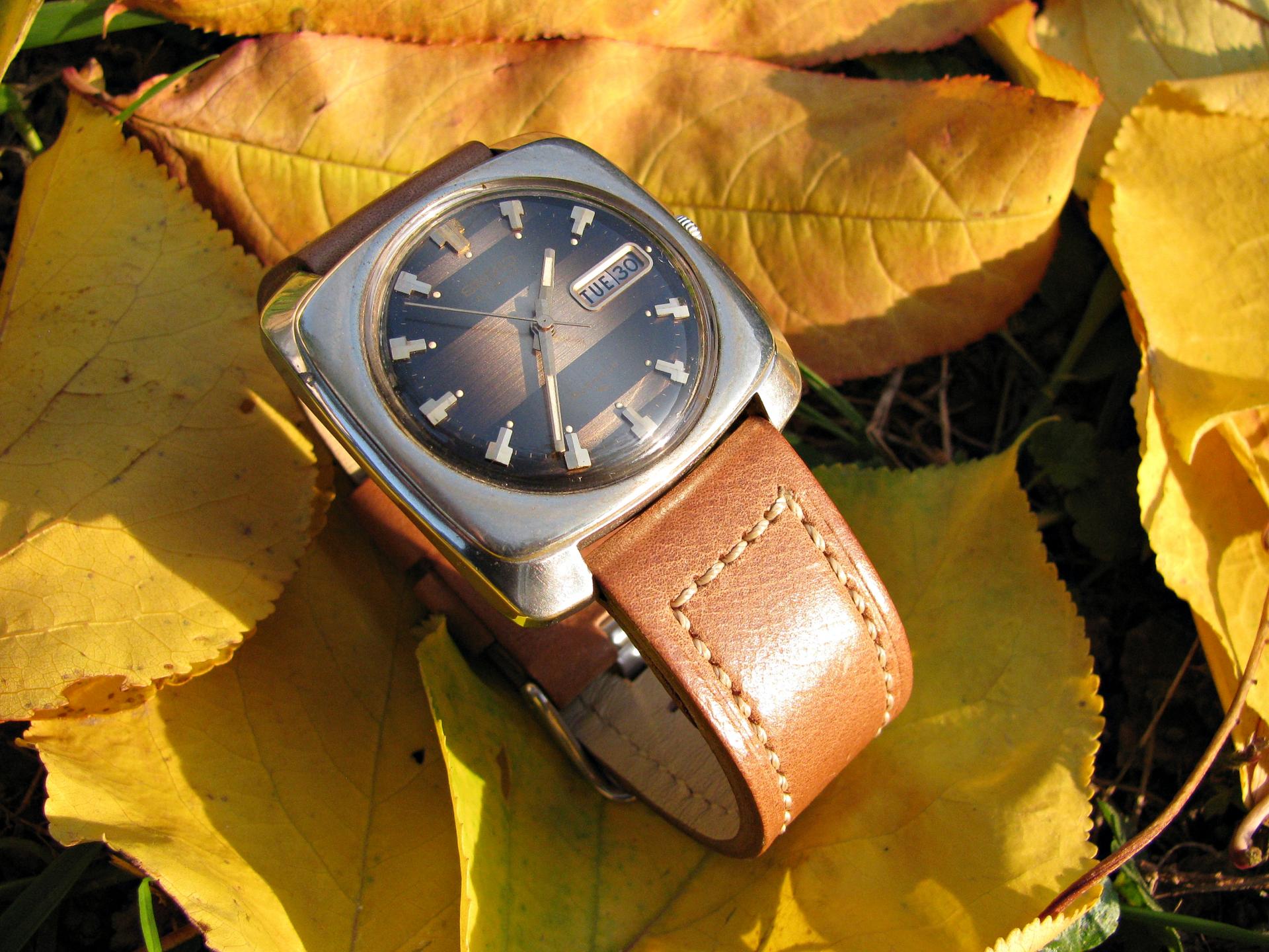 Naziv: IMG_6806 ...,.jpg, pregleda: 421, veličina: 340,5 KB