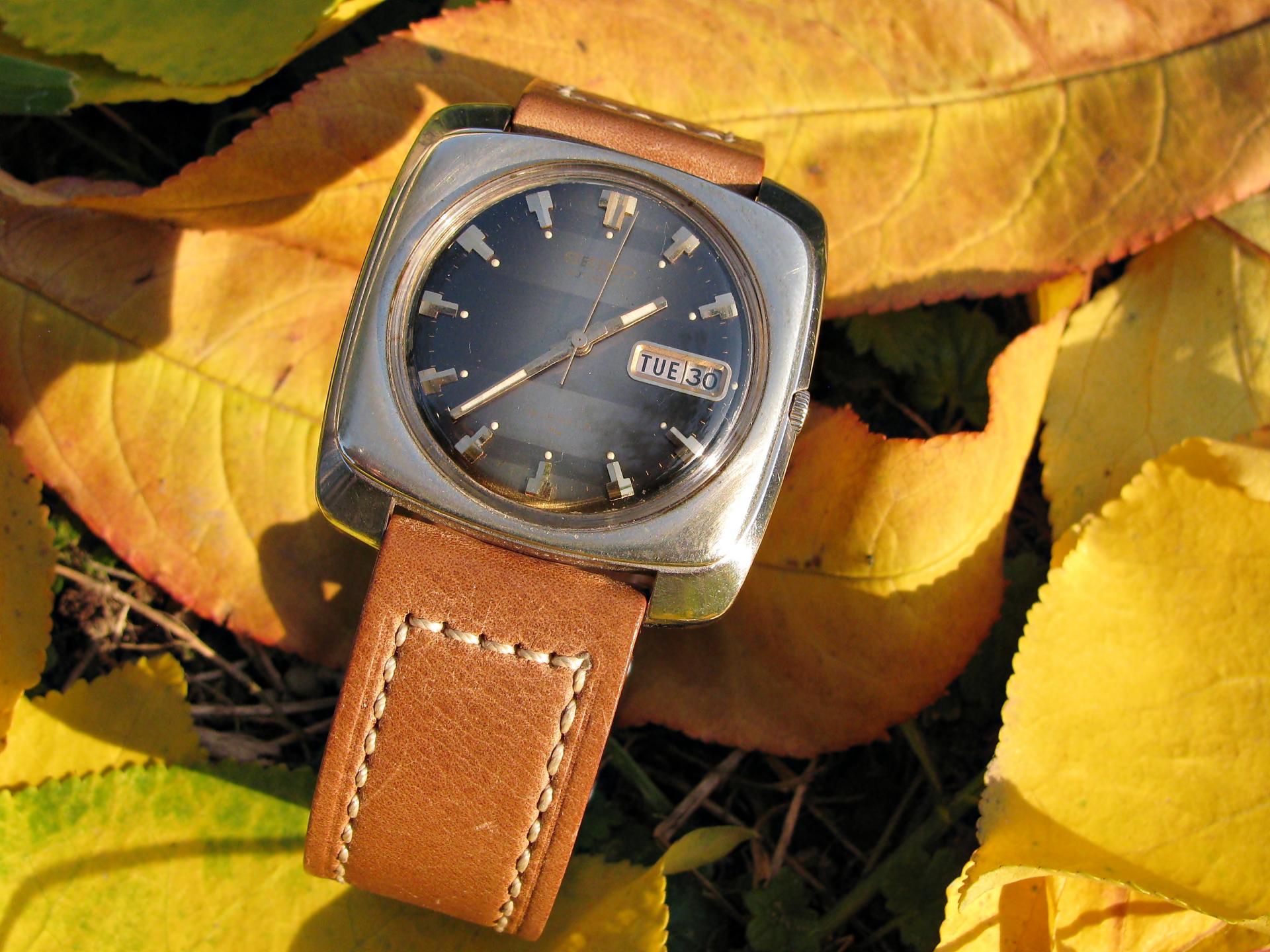 Naziv: IMG_6810 ....jpg, pregleda: 452, veličina: 300,9 KB