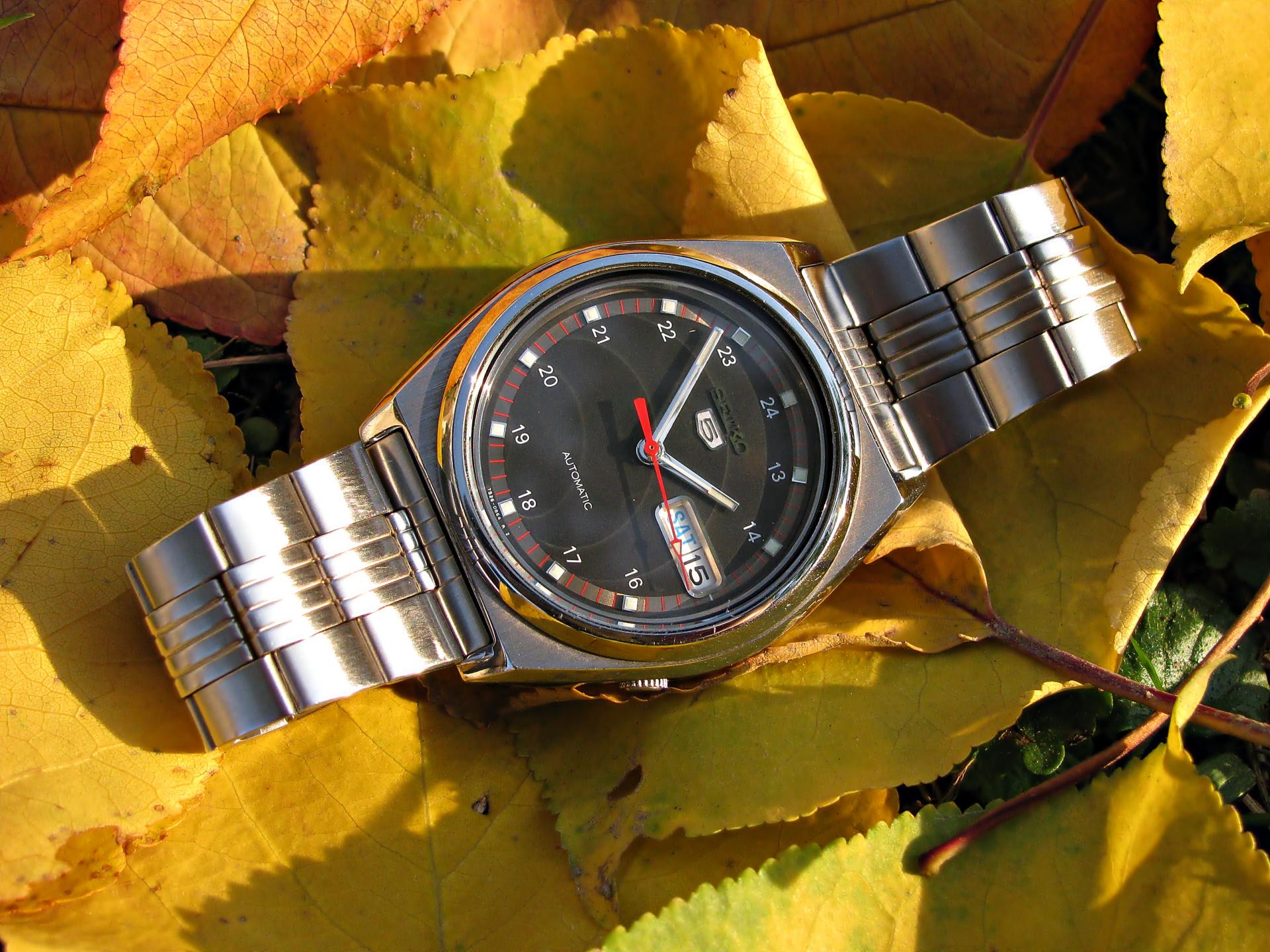 Naziv: IMG_6811 ....jpg, pregleda: 432, veličina: 371,7 KB