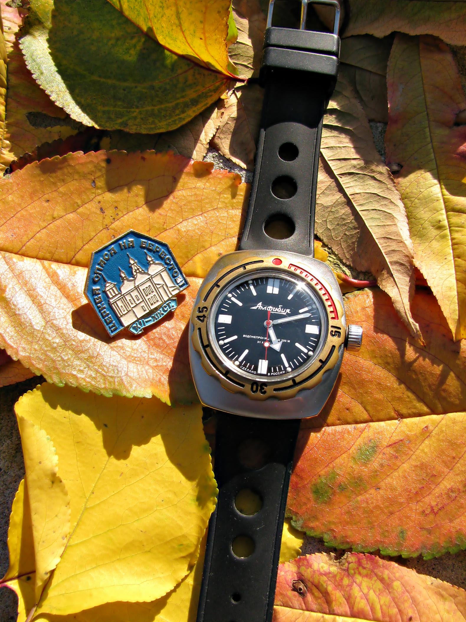 Naziv: IMG_6864 ....jpg, pregleda: 394, veličina: 526,7 KB