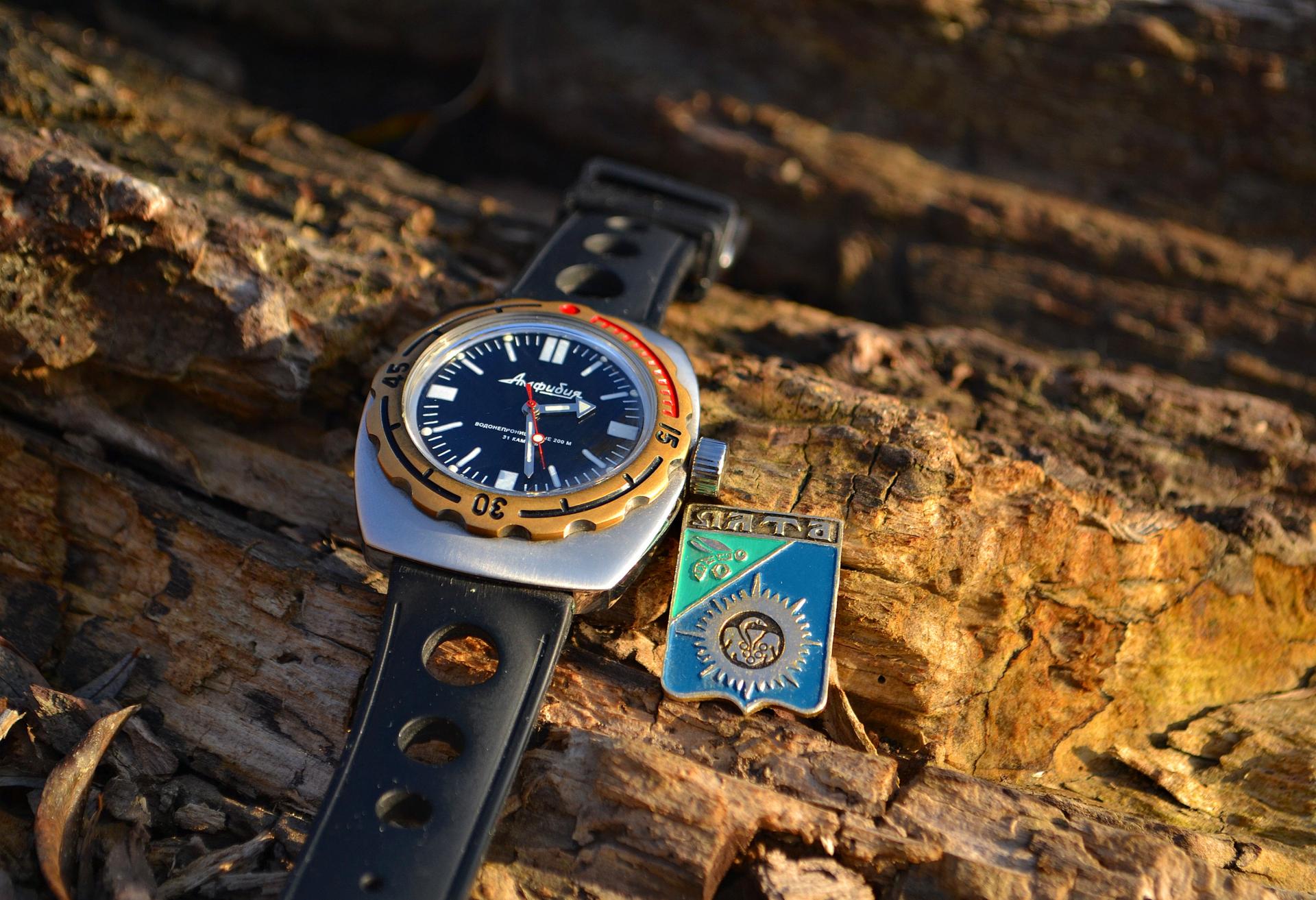 Naziv: DSC_0522 ....jpg, pregleda: 284, veličina: 332,8 KB