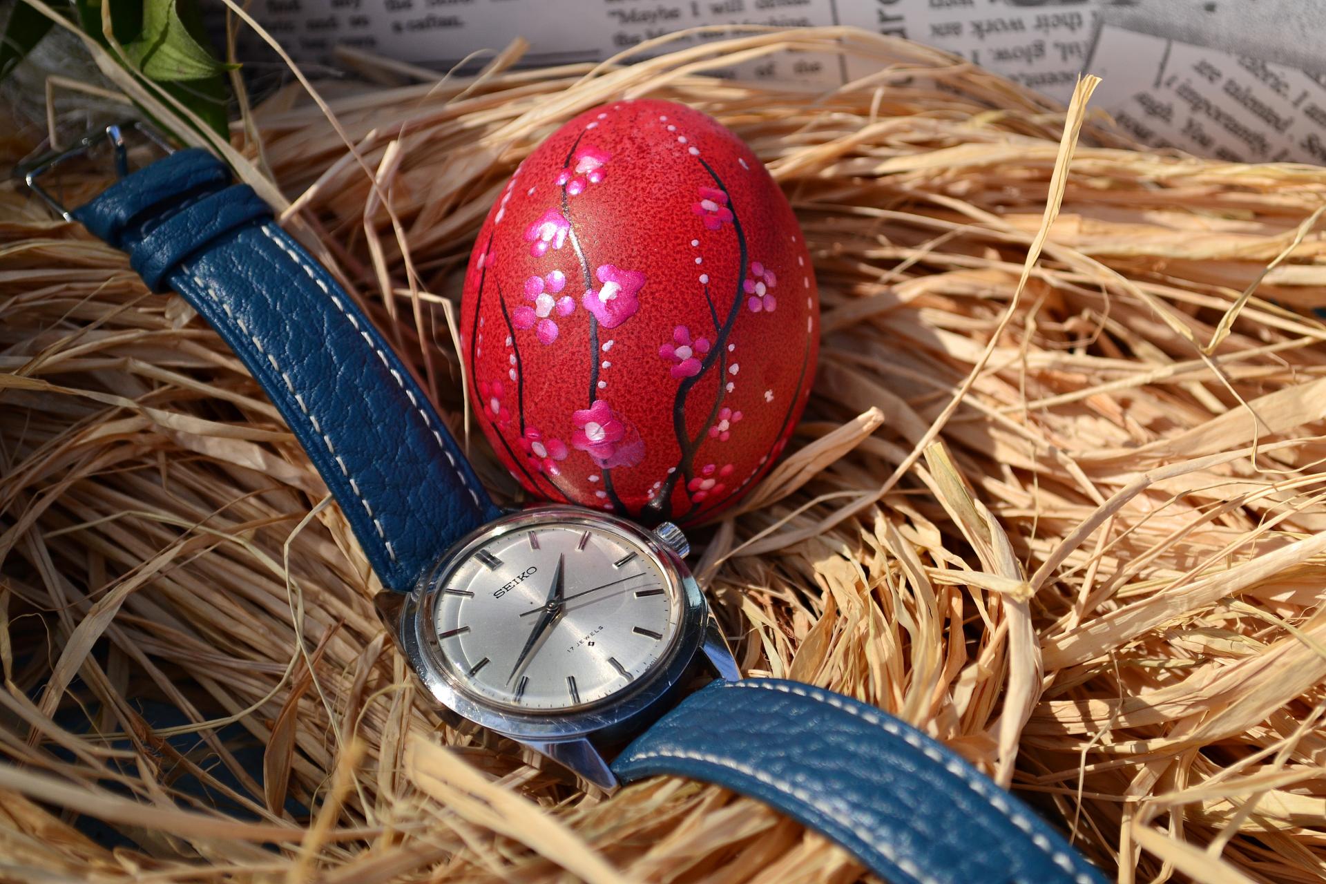 Naziv: DSC_0494 ....jpg, pregleda: 362, veličina: 354,1 KB