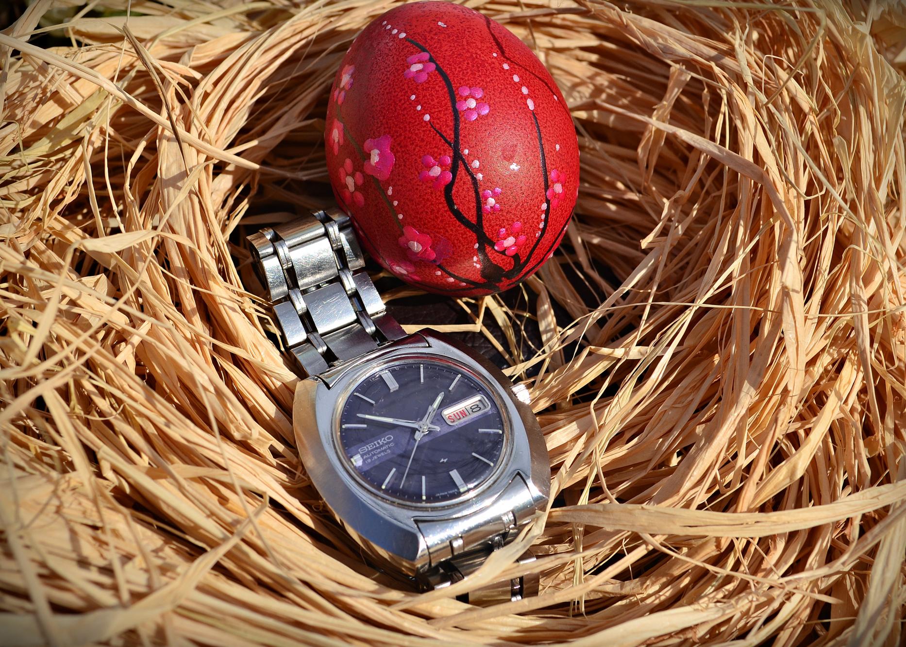 Naziv: DSC_0539 ....jpg, pregleda: 462, veličina: 495,3 KB