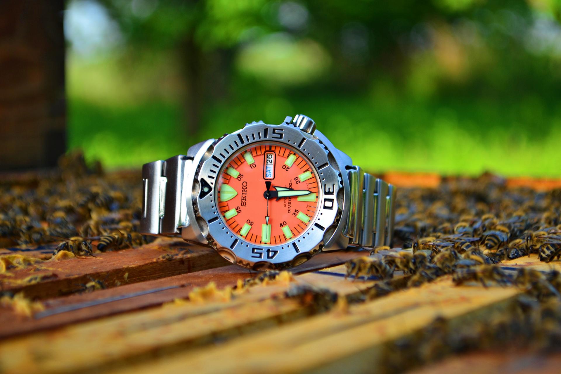 Naziv: DSC_0540 ....jpg, pregleda: 311, veličina: 202,6 KB