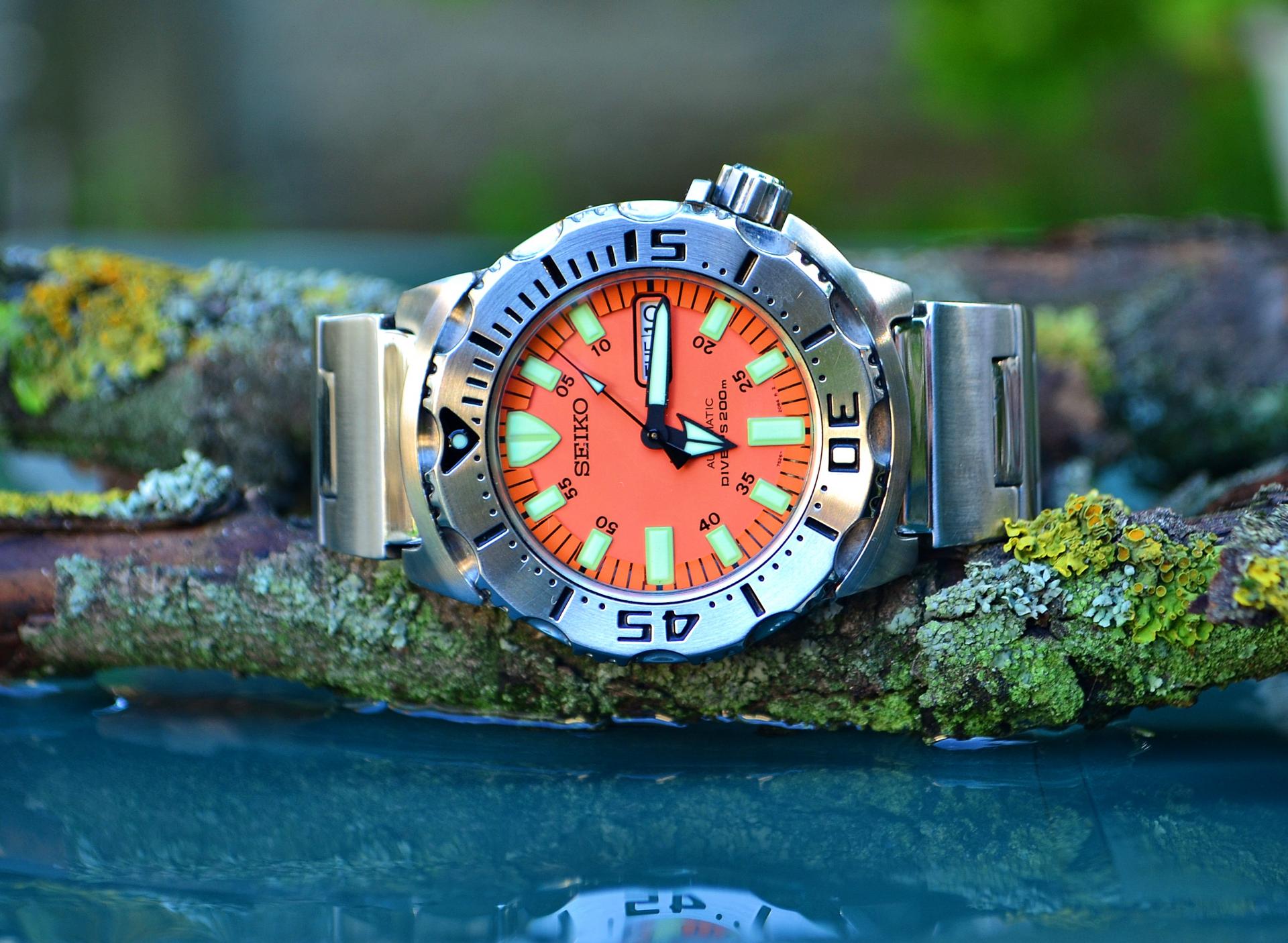 Naziv: DSC_0840 ....jpg, pregleda: 300, veličina: 305,0 KB