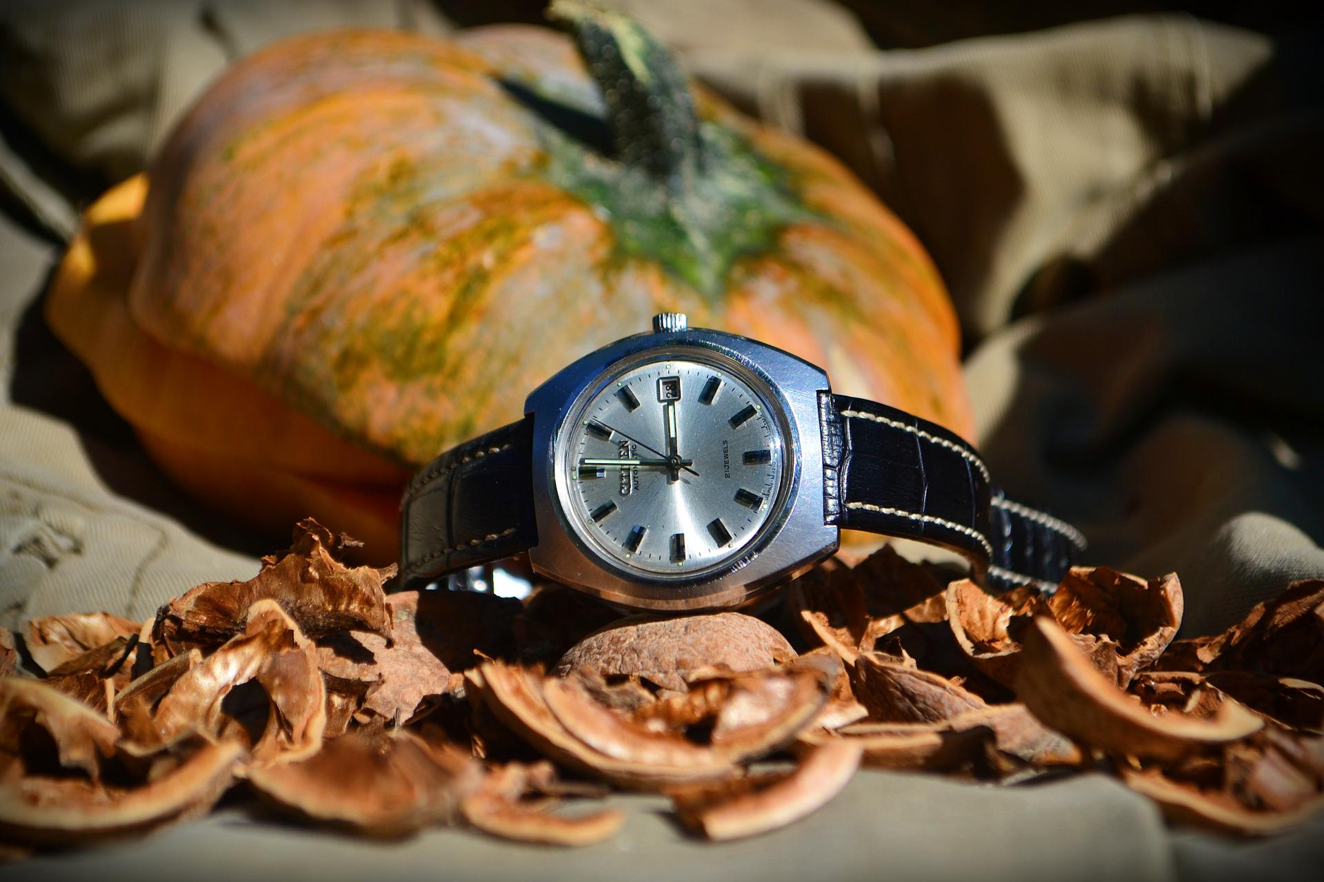 Naziv: DSC_1308 ....jpg, pregleda: 567, veličina: 224,3 KB