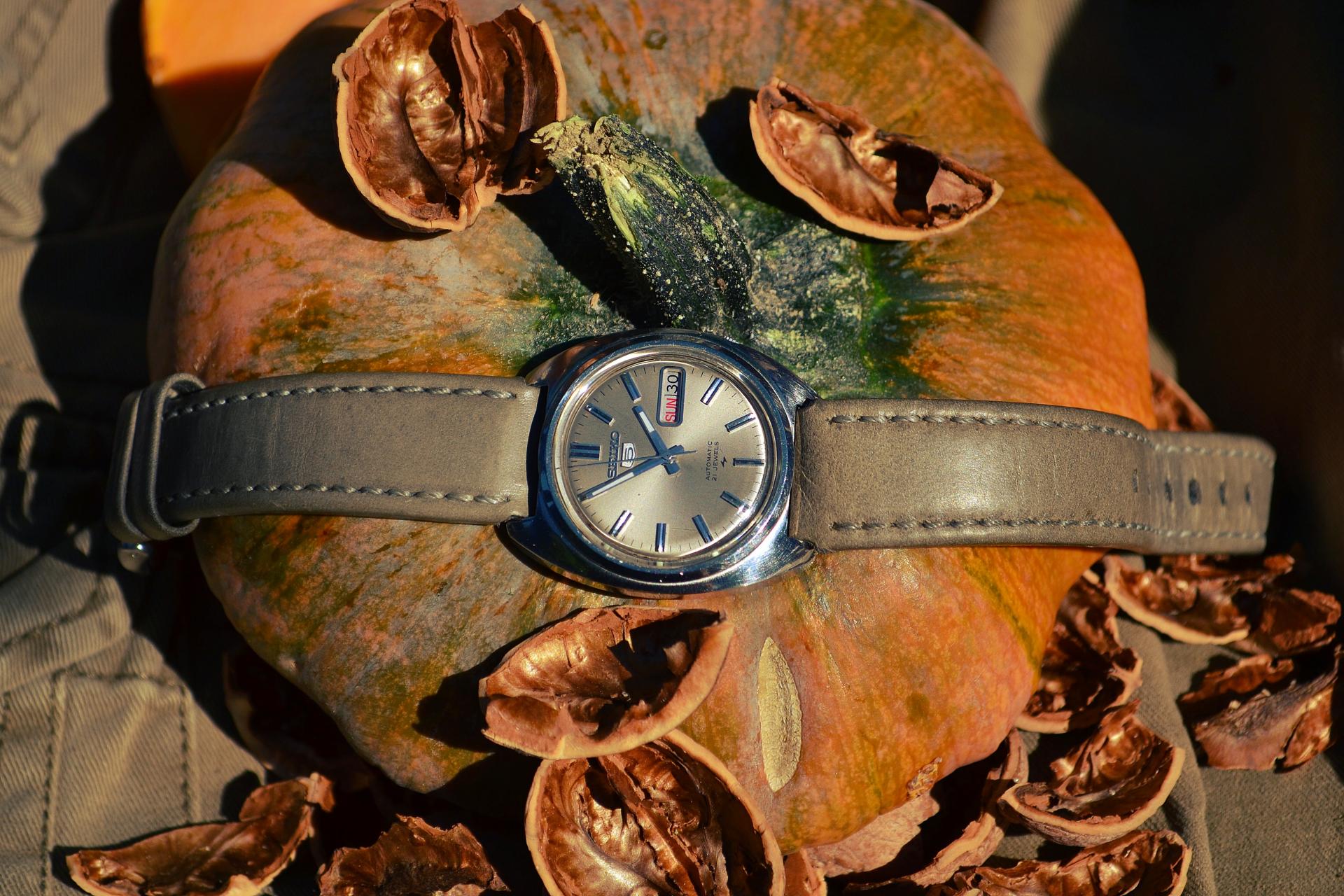 Naziv: DSC_1310 ....jpg, pregleda: 727, veličina: 363,9 KB