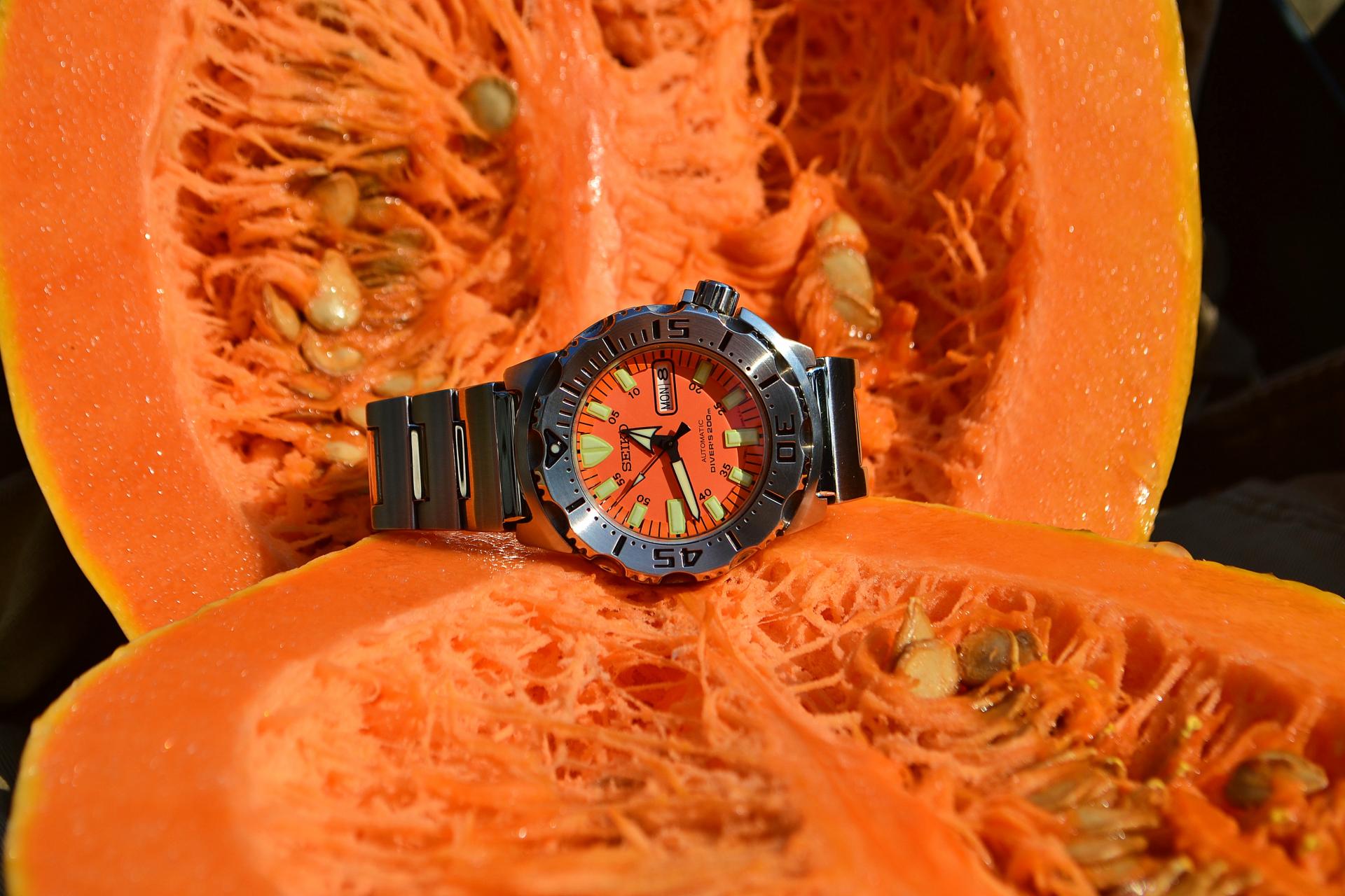 Naziv: DSC_1330 ....jpg, pregleda: 506, veličina: 247,3 KB