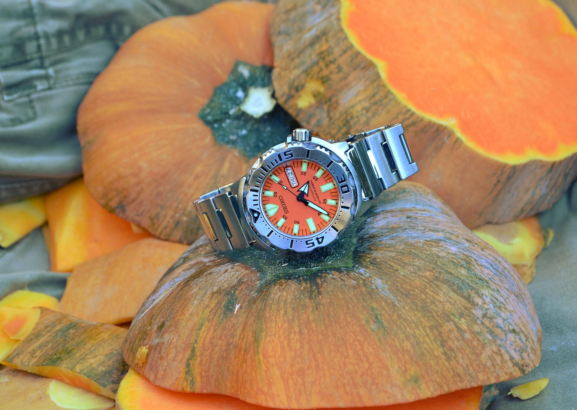 Naziv: DSC_1341 ....jpg, pregleda: 517, veličina: 276,5 KB