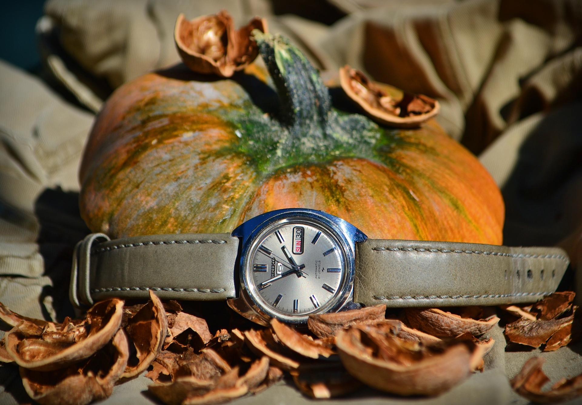 Naziv: DSC_1315 ....jpg, pregleda: 553, veličina: 288,1 KB