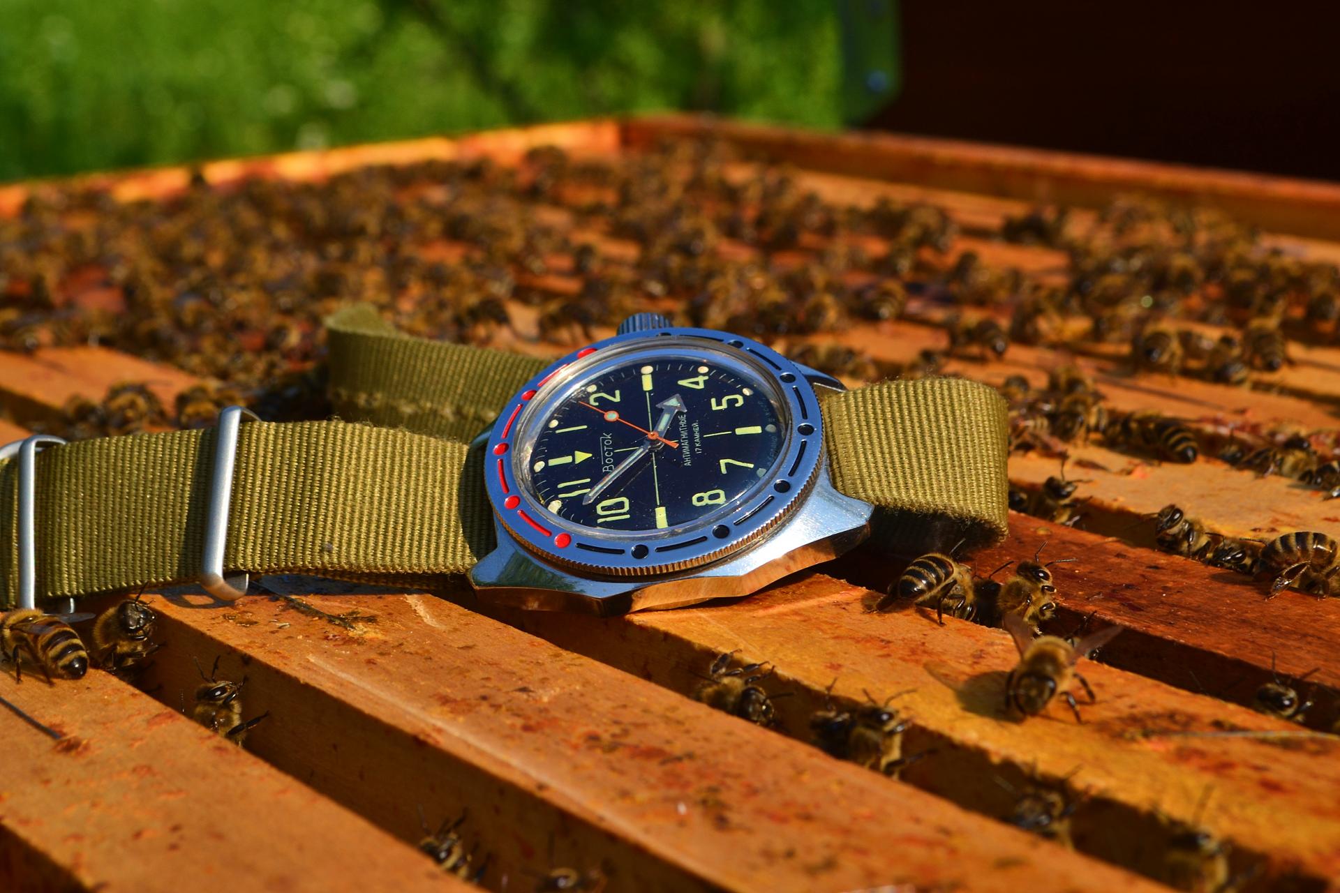 Naziv: DSC_0809 ...,.jpg, pregleda: 691, veličina: 272,1 KB