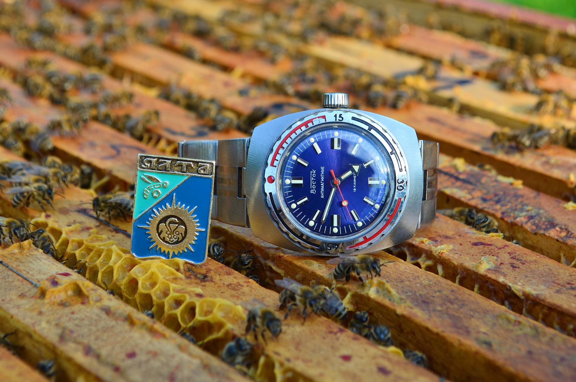 Naziv: DSC_1200 ....jpg, pregleda: 562, veličina: 292,5 KB